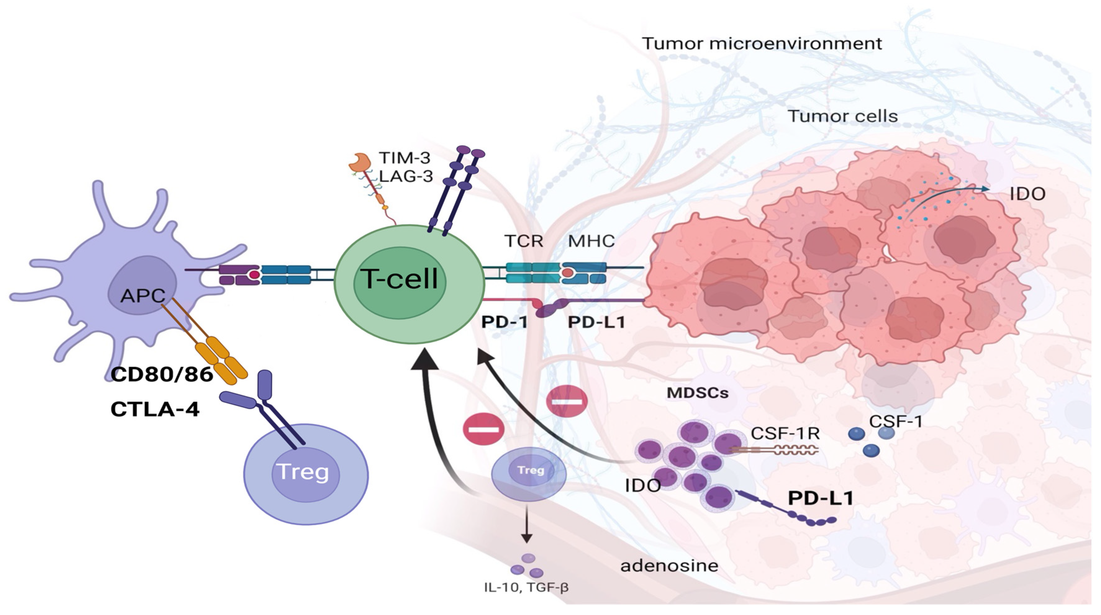 Biomolecules 15 00269 g001