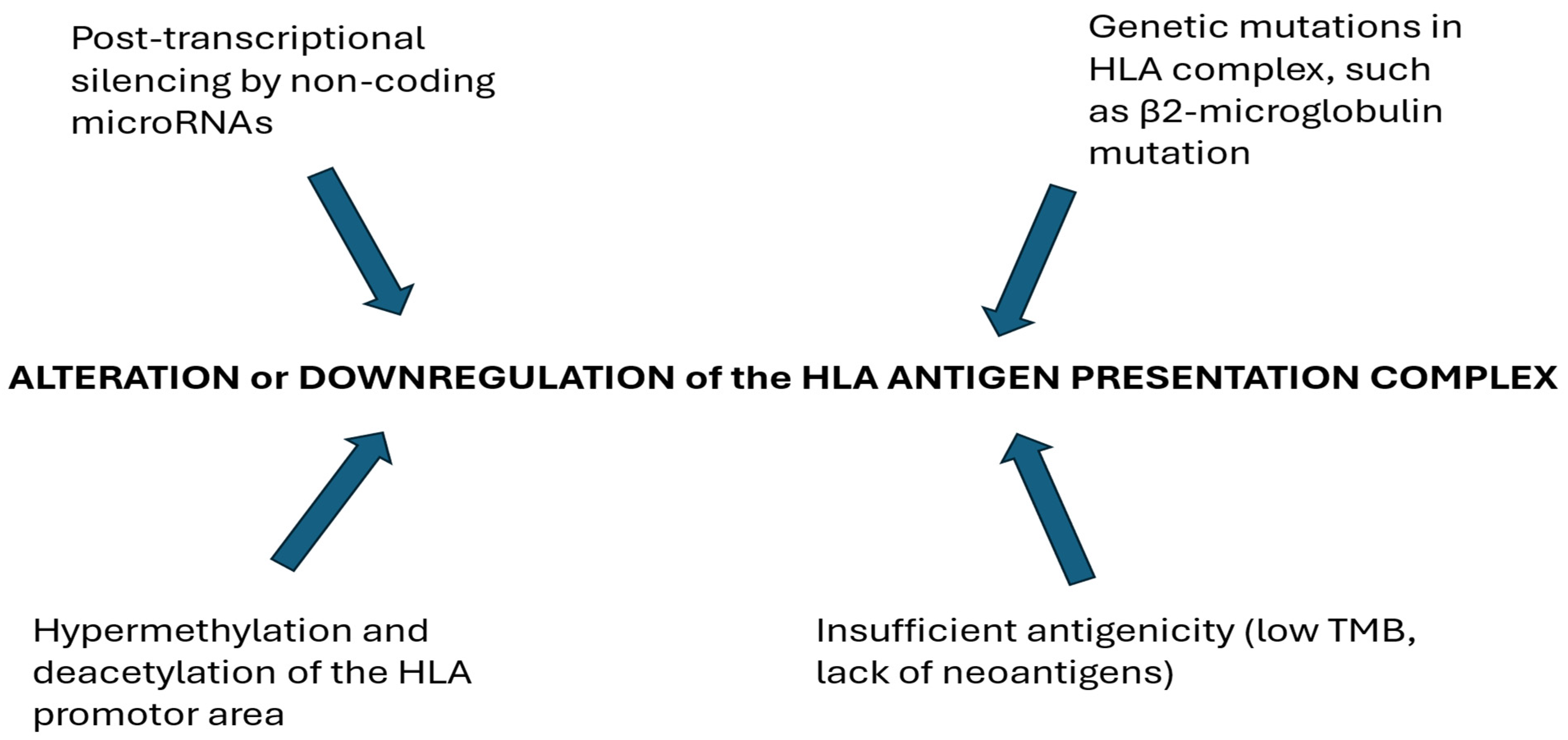 Biomolecules 15 00269 g002