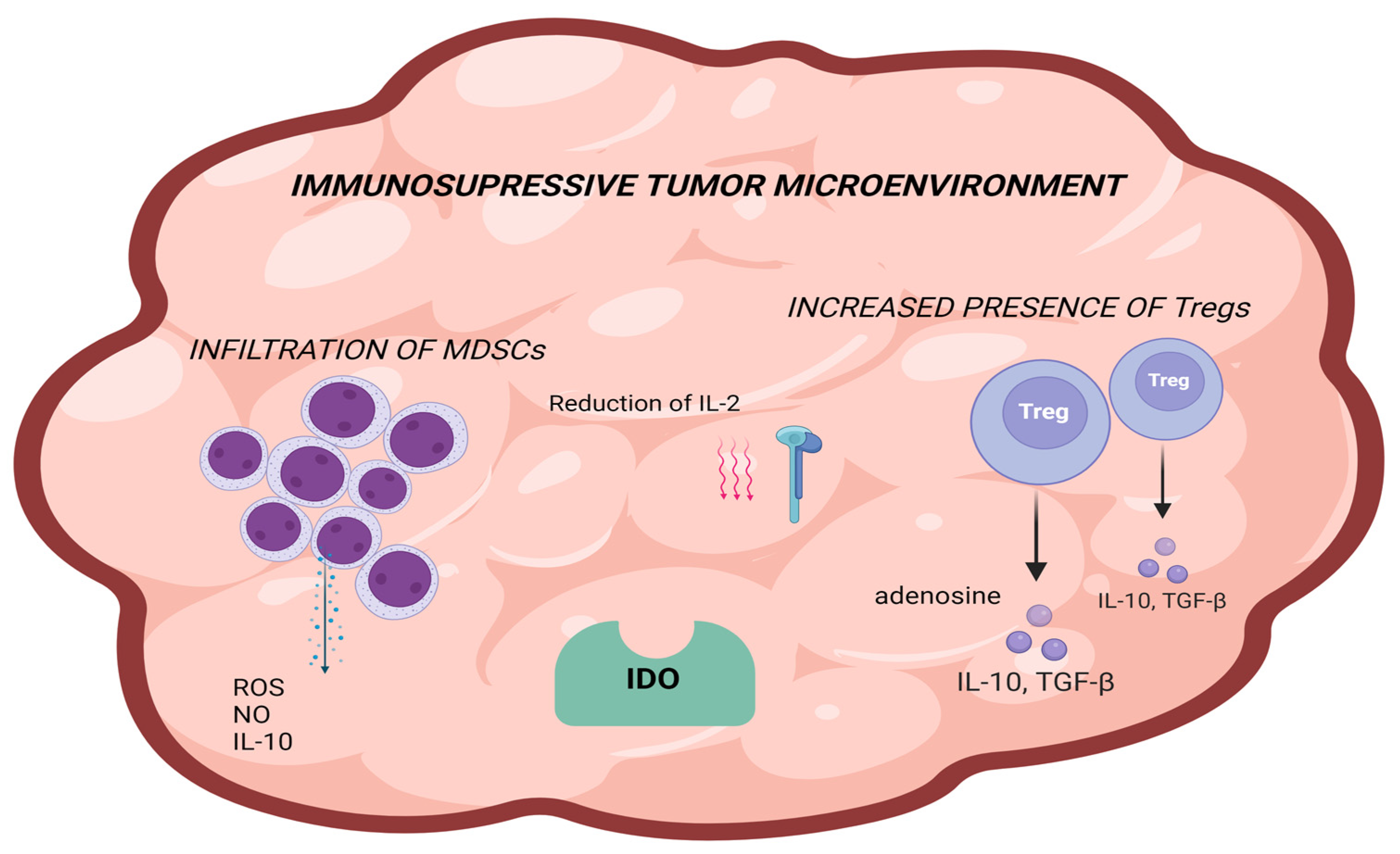 Biomolecules 15 00269 g004
