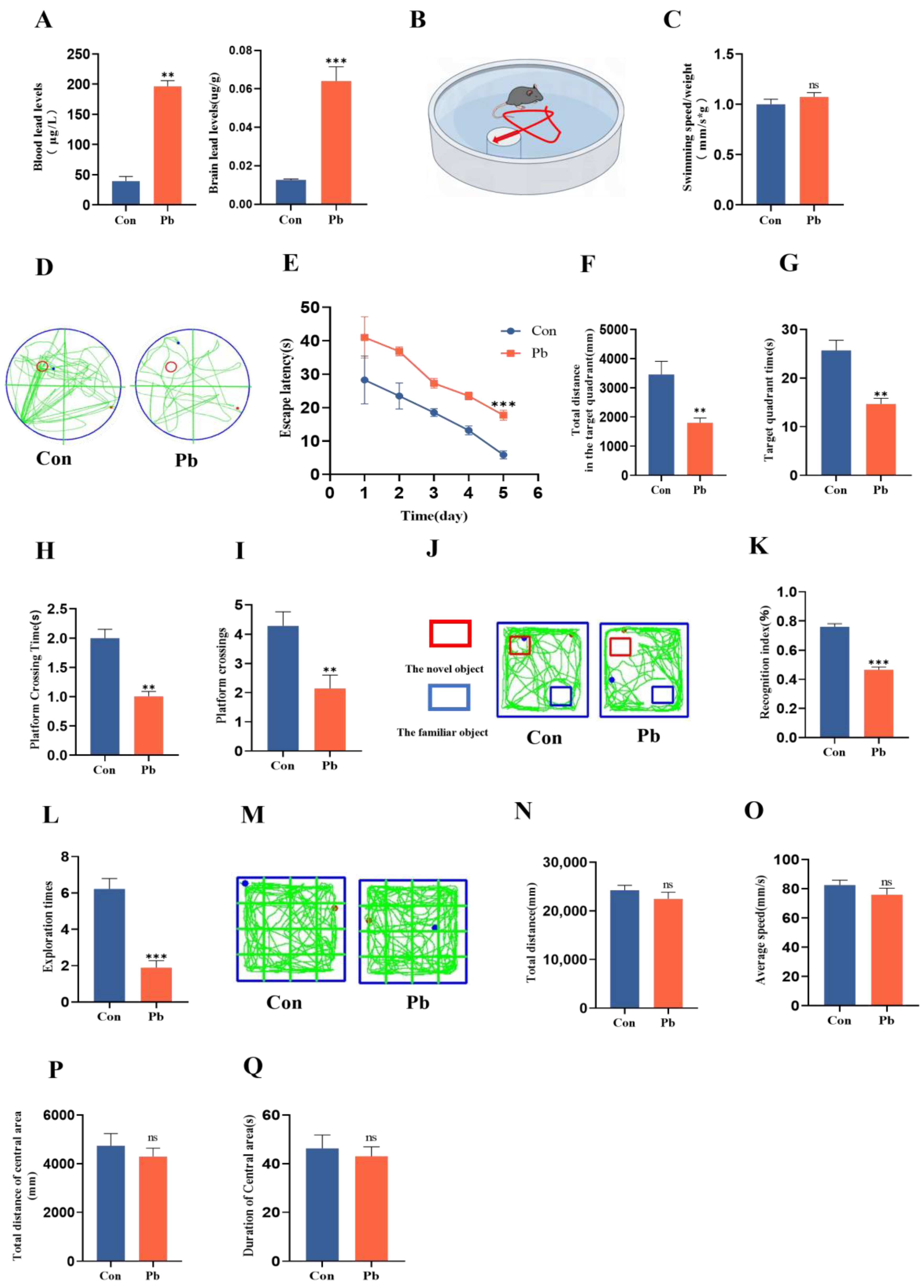 Biomolecules 15 00272 g001