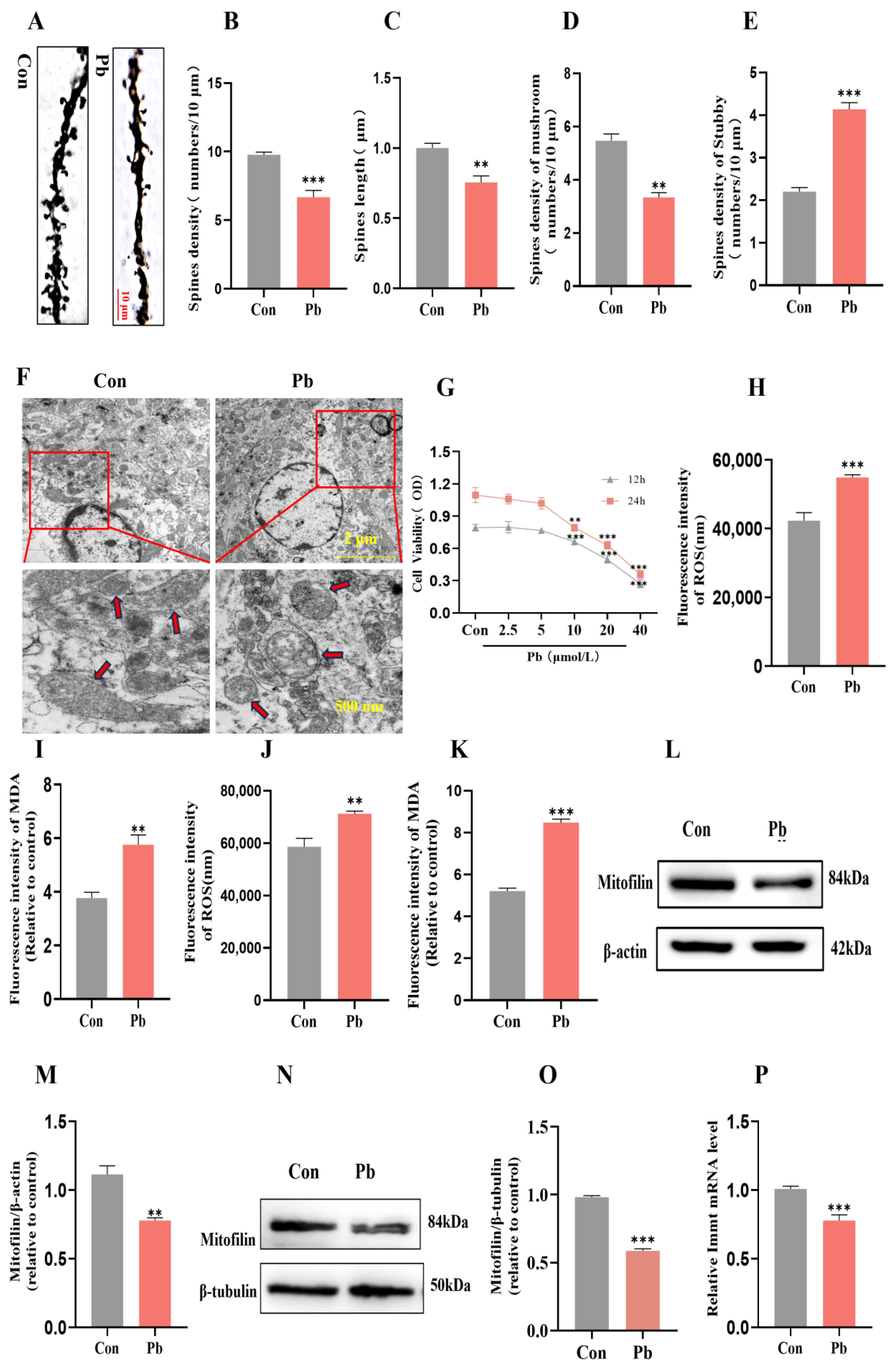Biomolecules 15 00272 g002