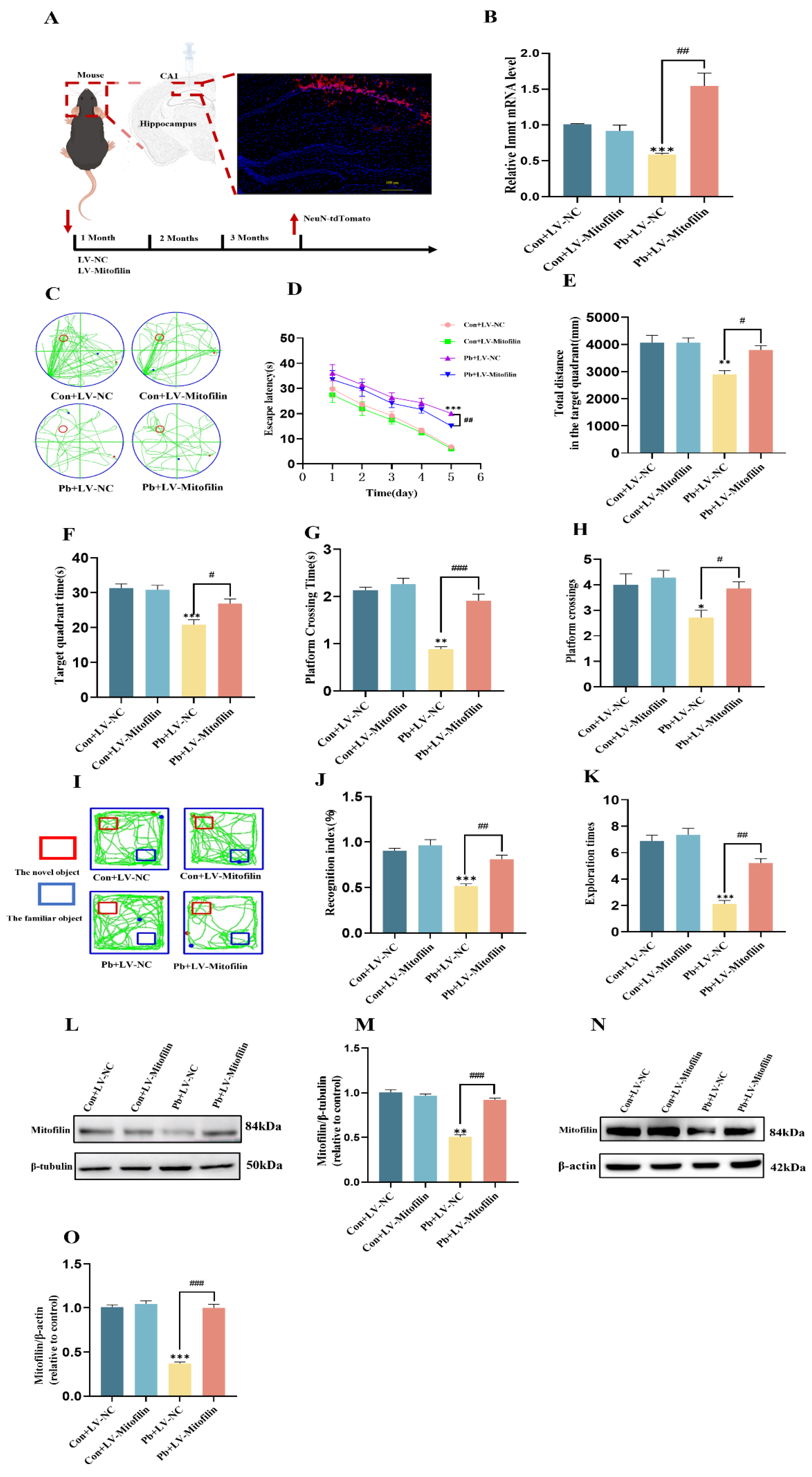 Biomolecules 15 00272 g003