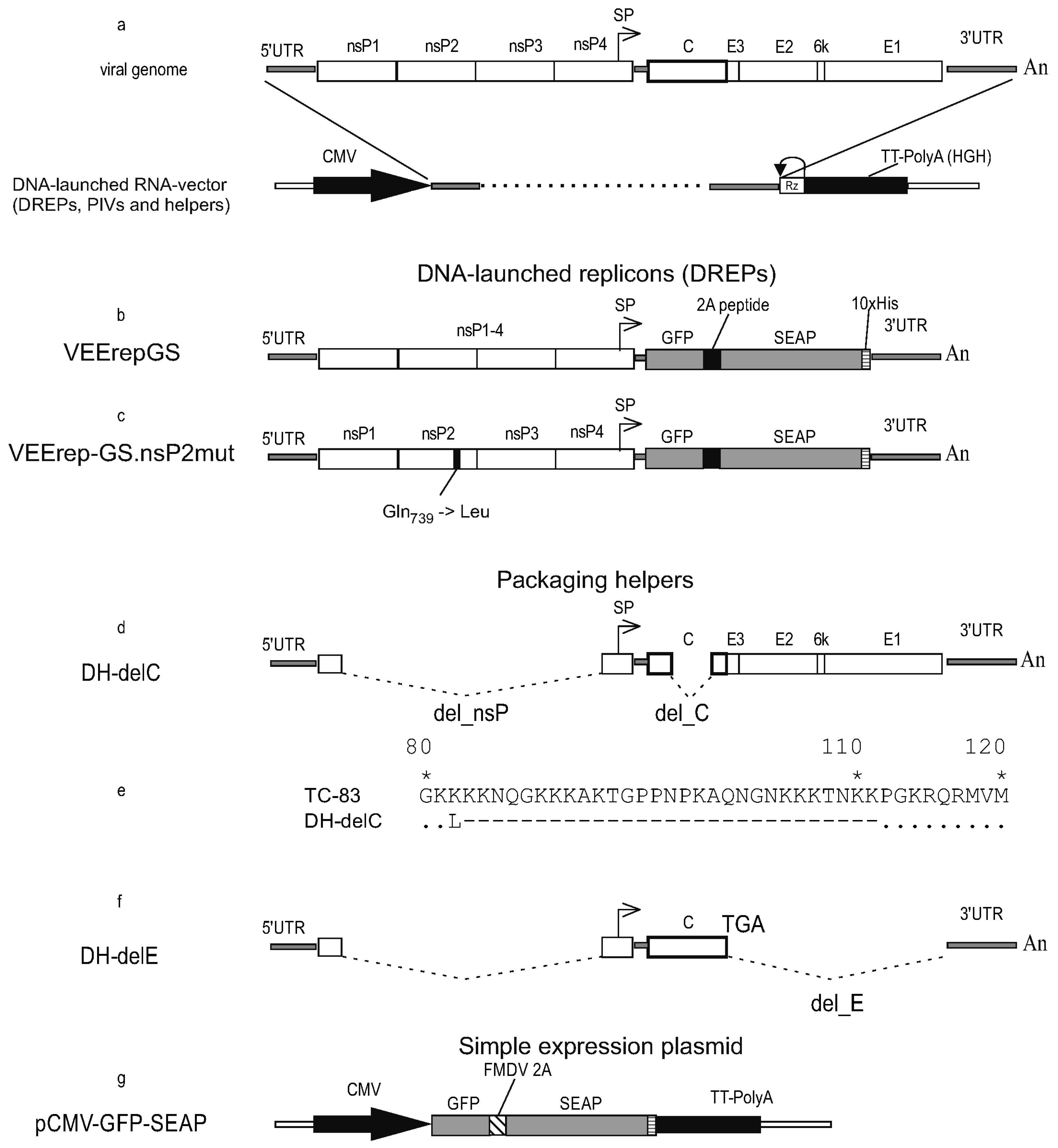 Biomolecules 15 00274 g001