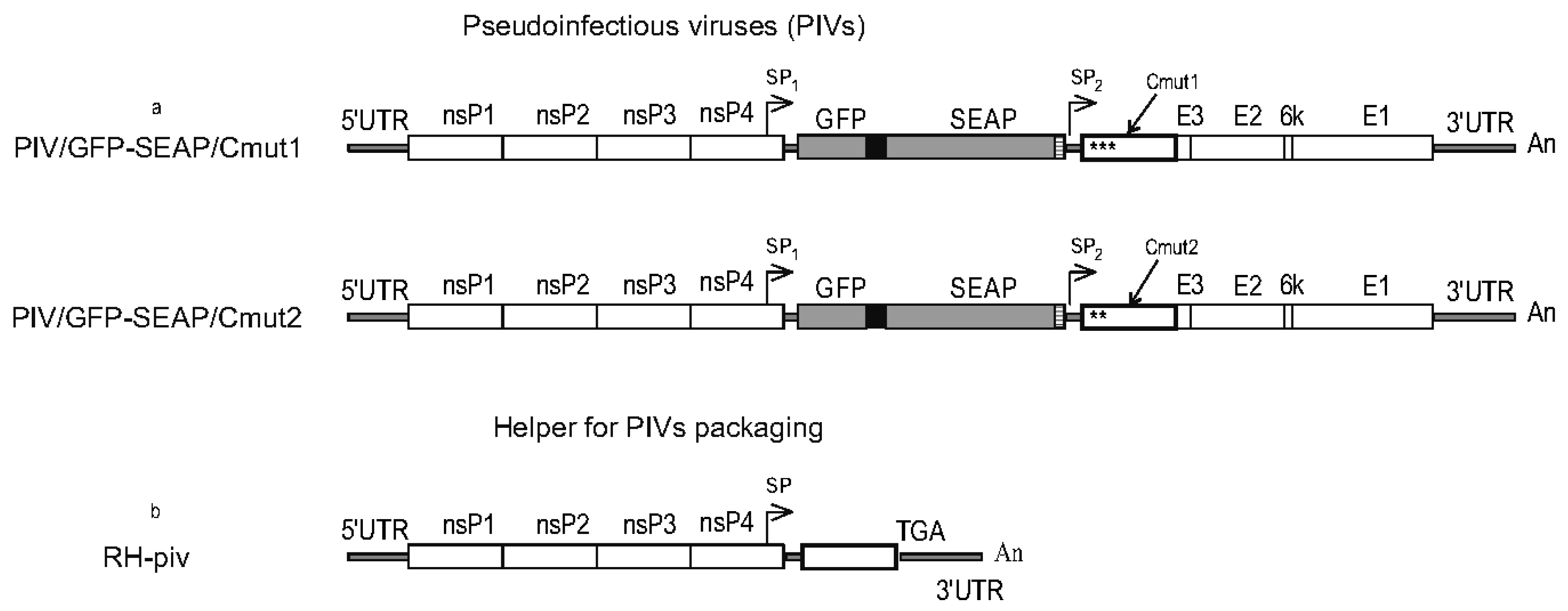 Biomolecules 15 00274 g004