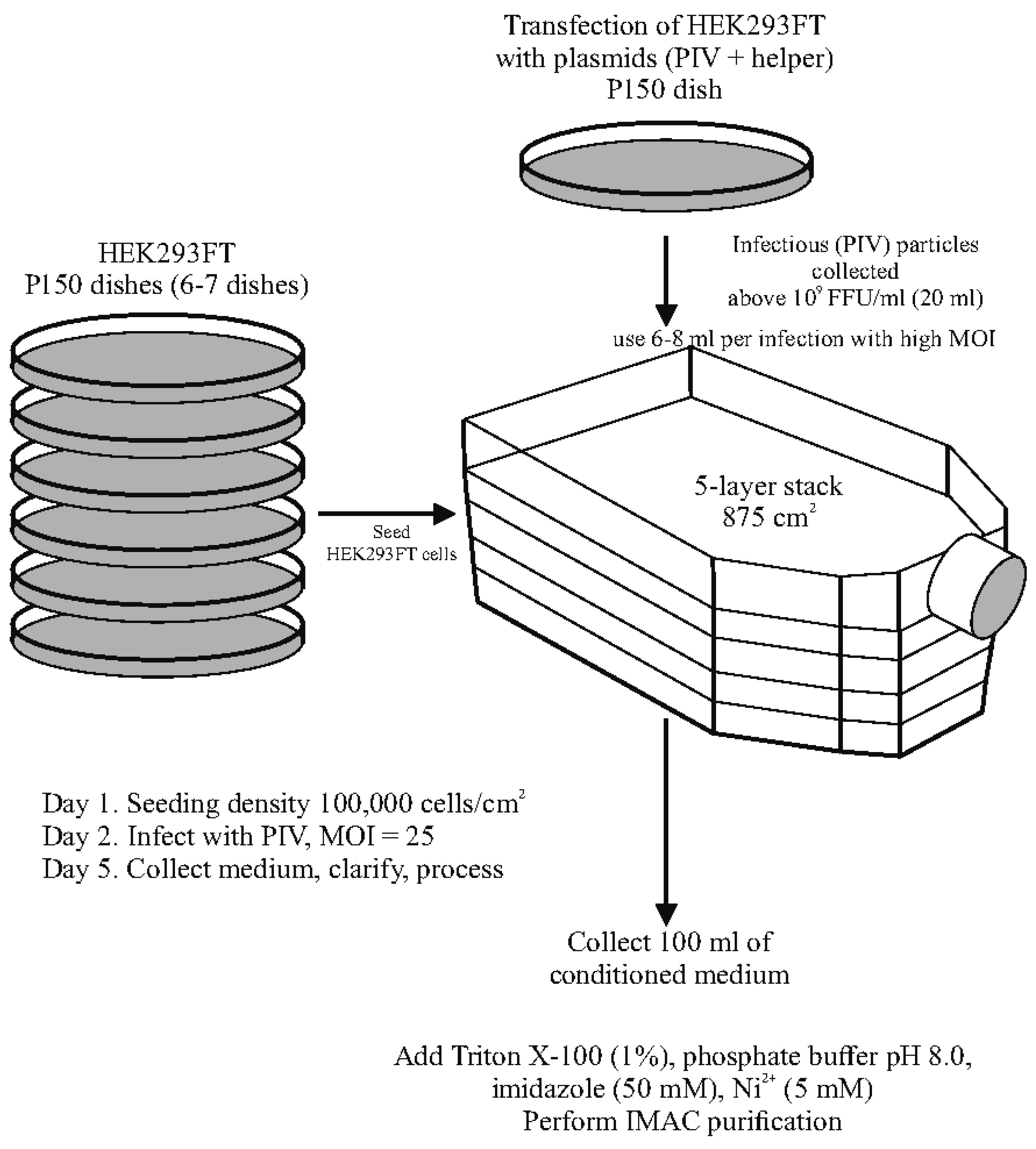 Biomolecules 15 00274 g008
