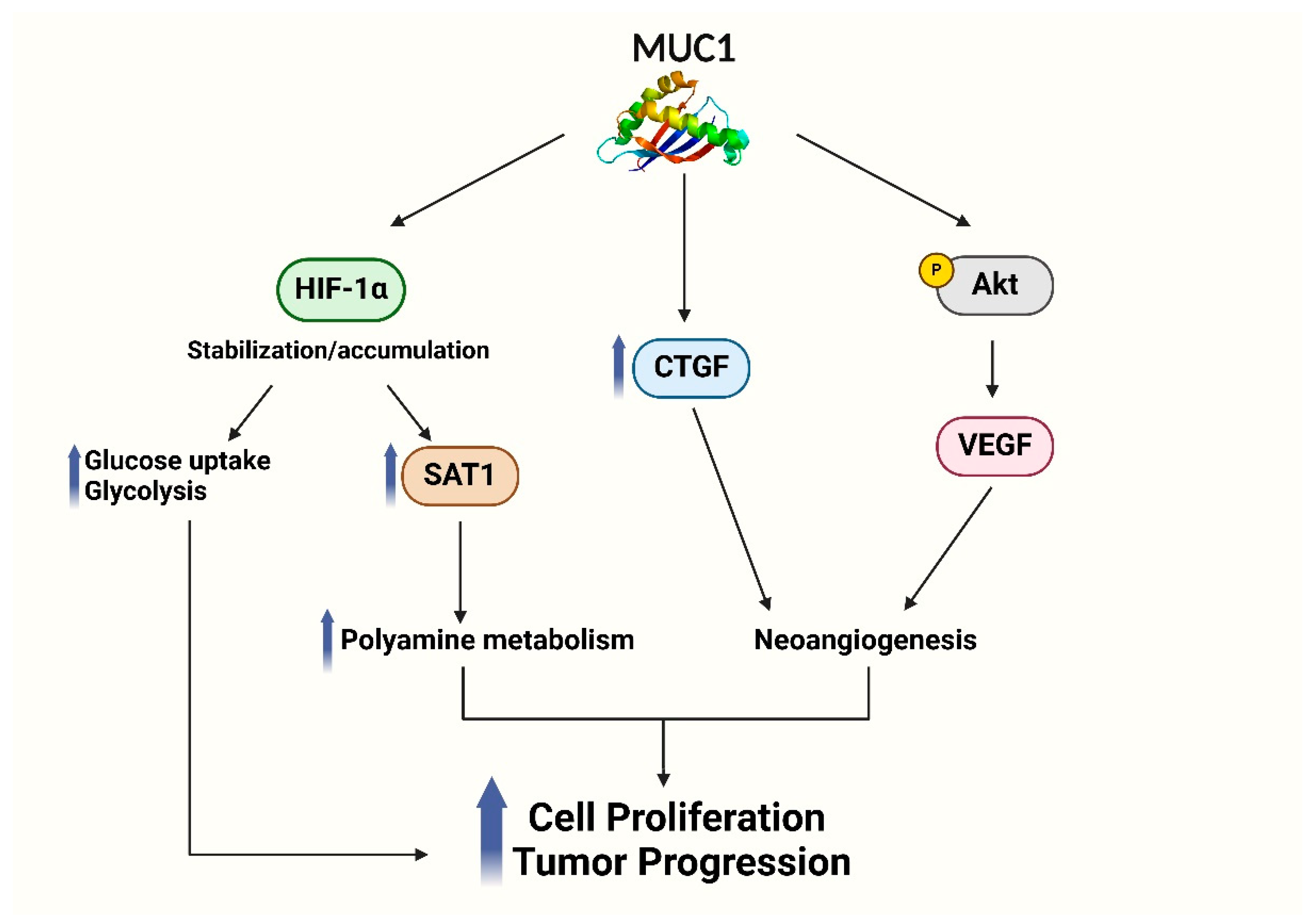 Biomolecules 15 00275 g002