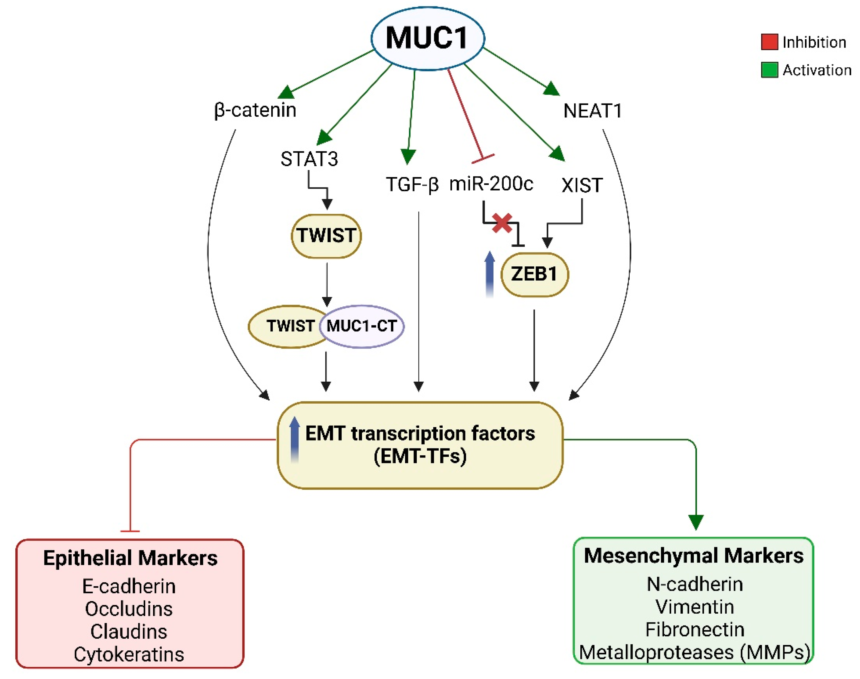 Biomolecules 15 00275 g003