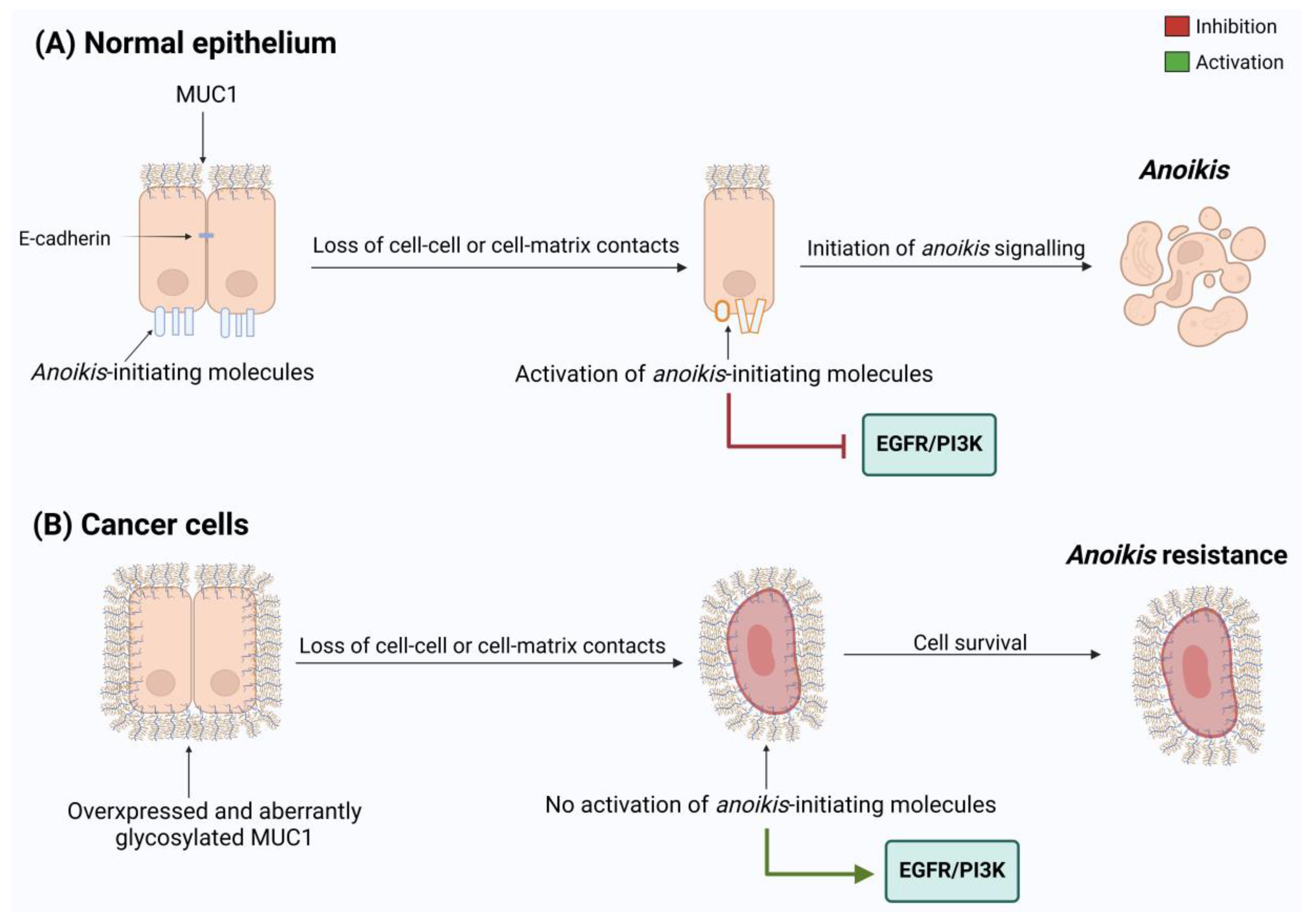Biomolecules 15 00275 g004