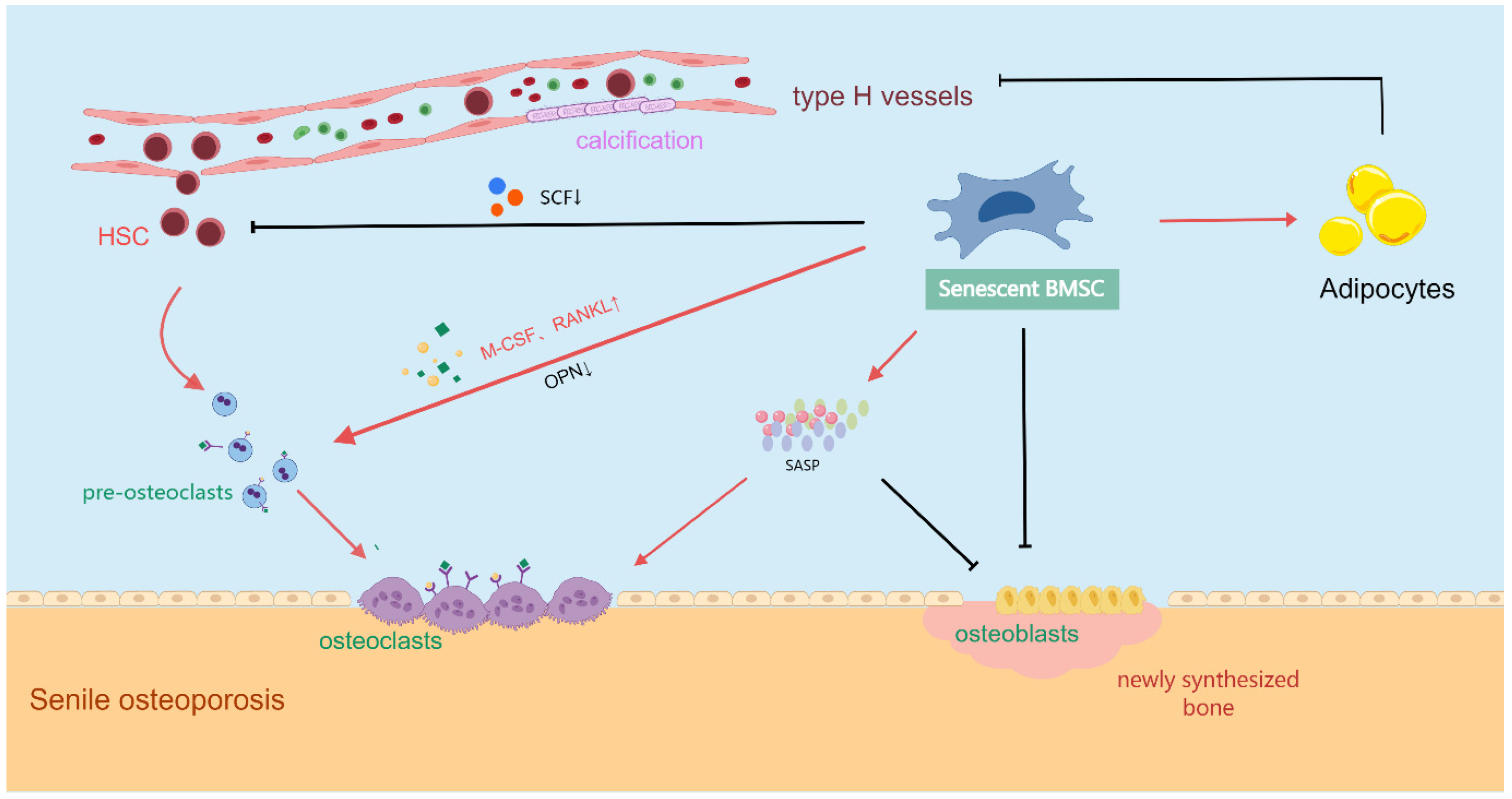 Biomolecules 15 00276 g004