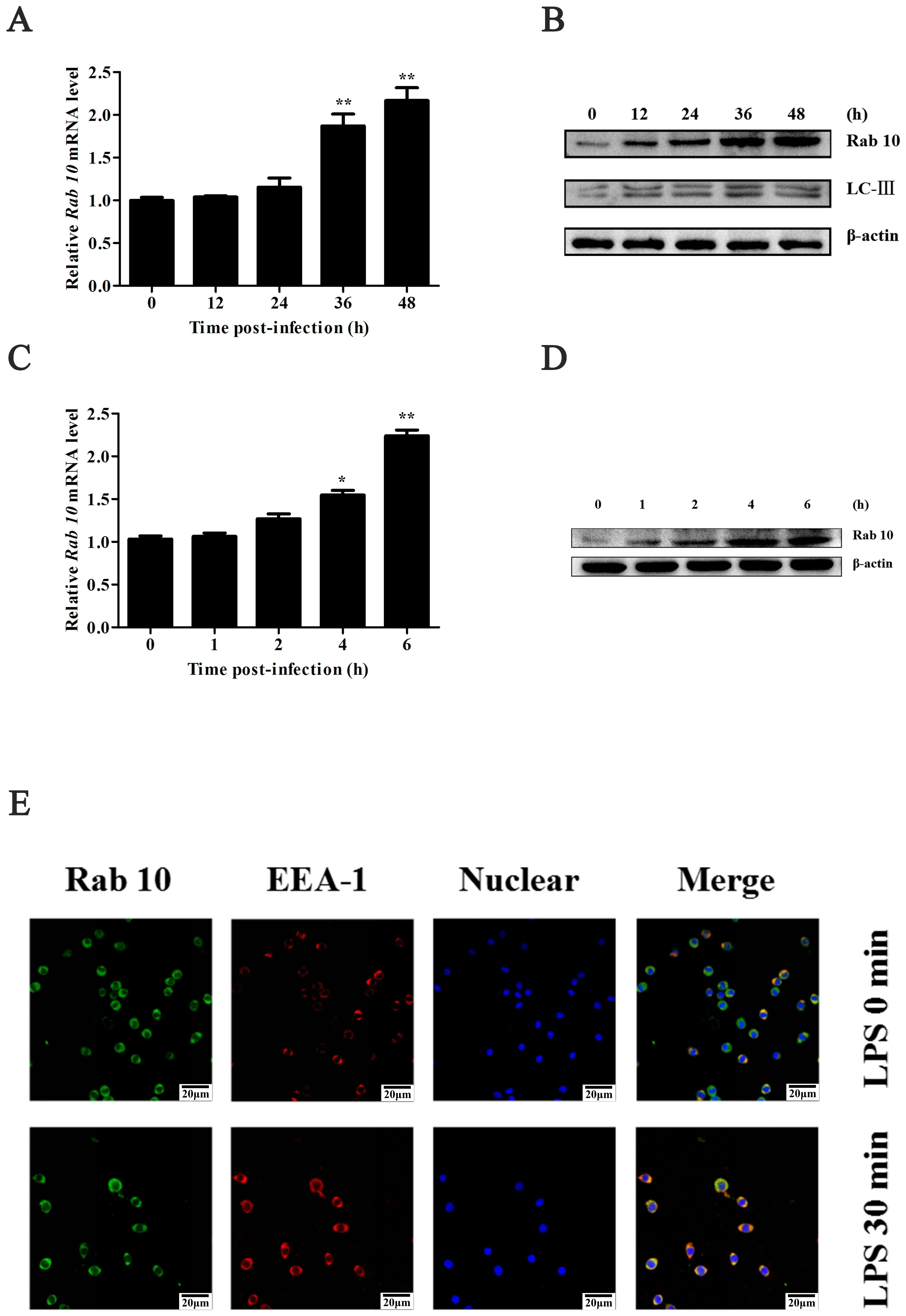 Biomolecules 15 00277 g001