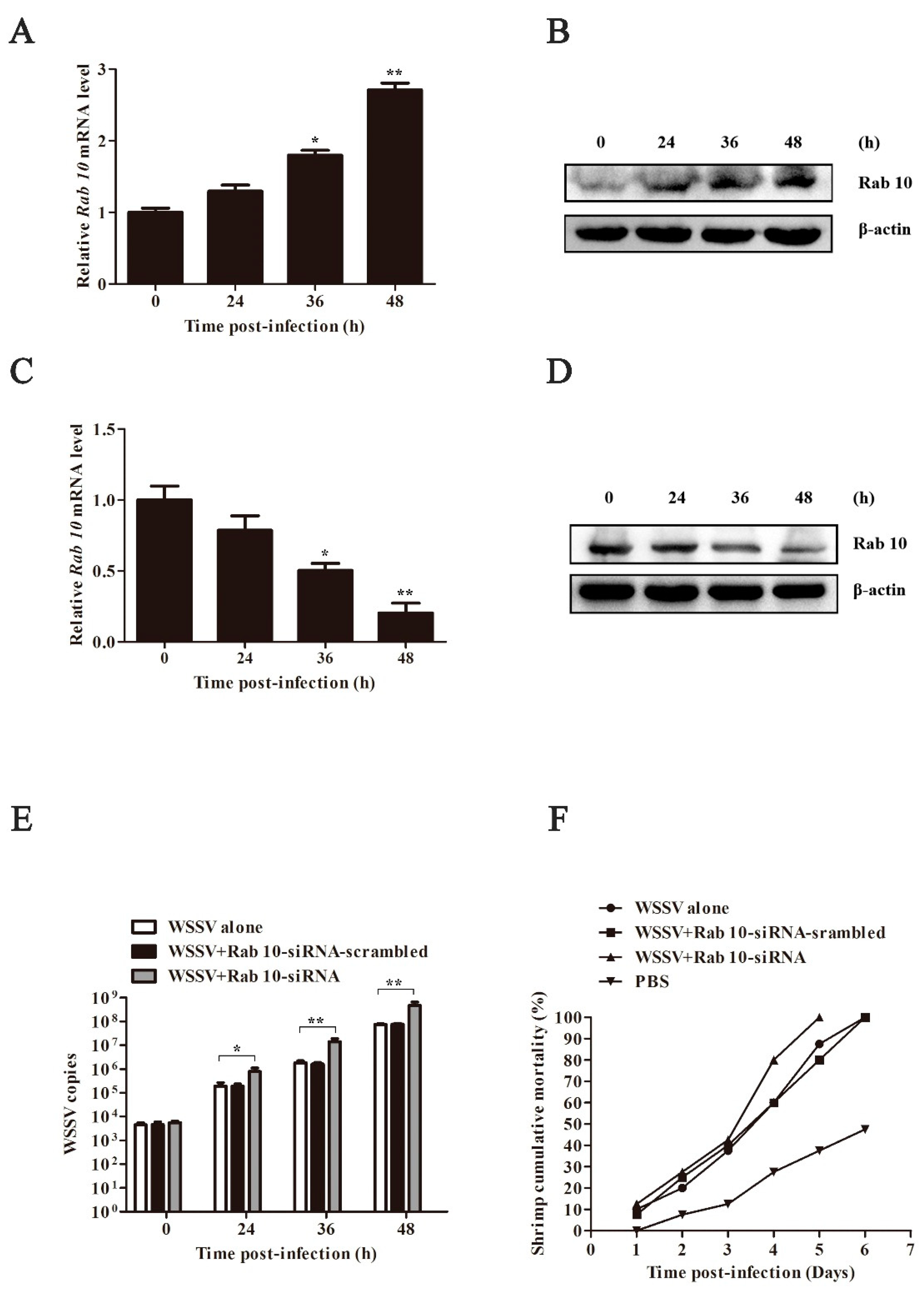 Biomolecules 15 00277 g002