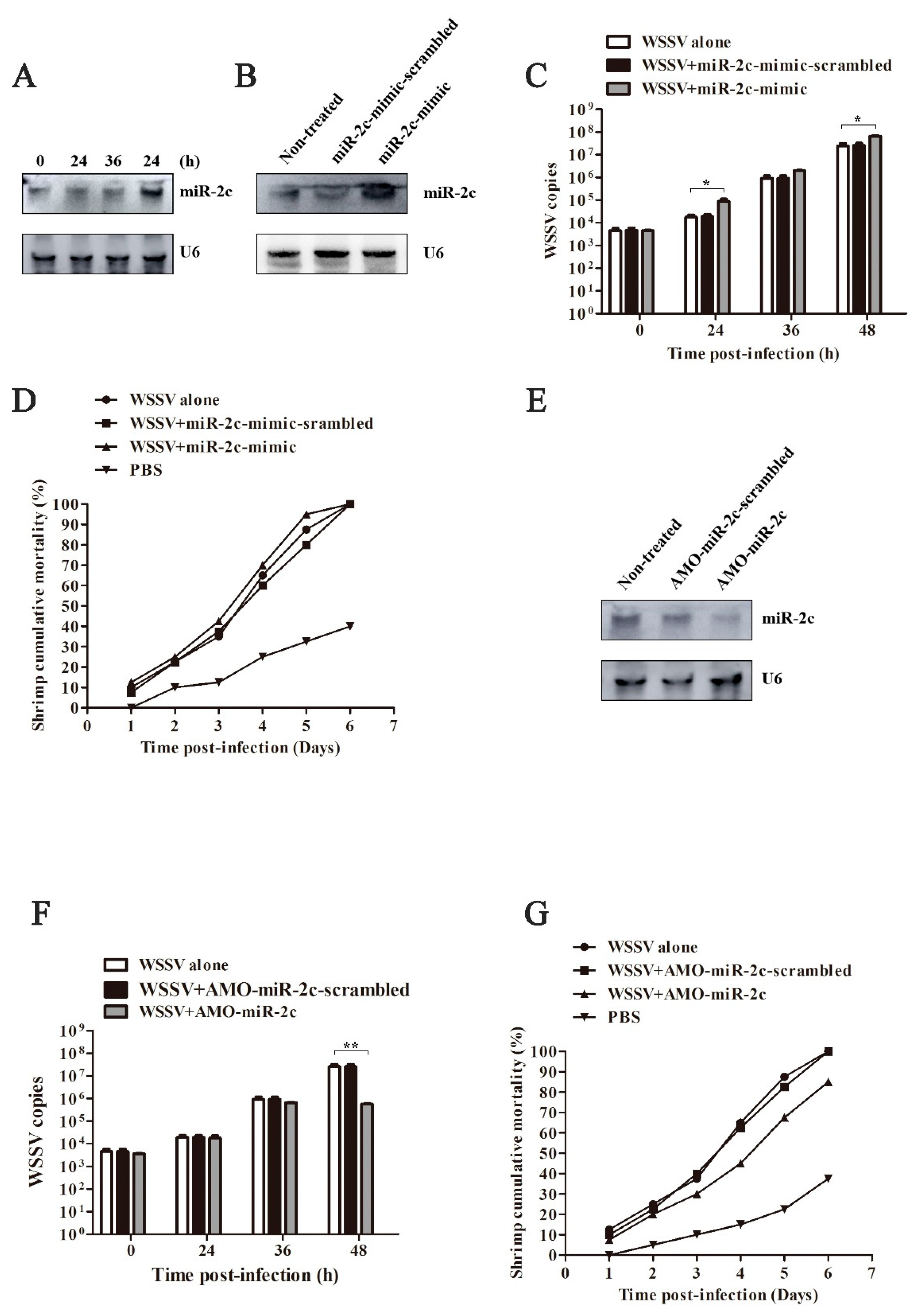Biomolecules 15 00277 g004