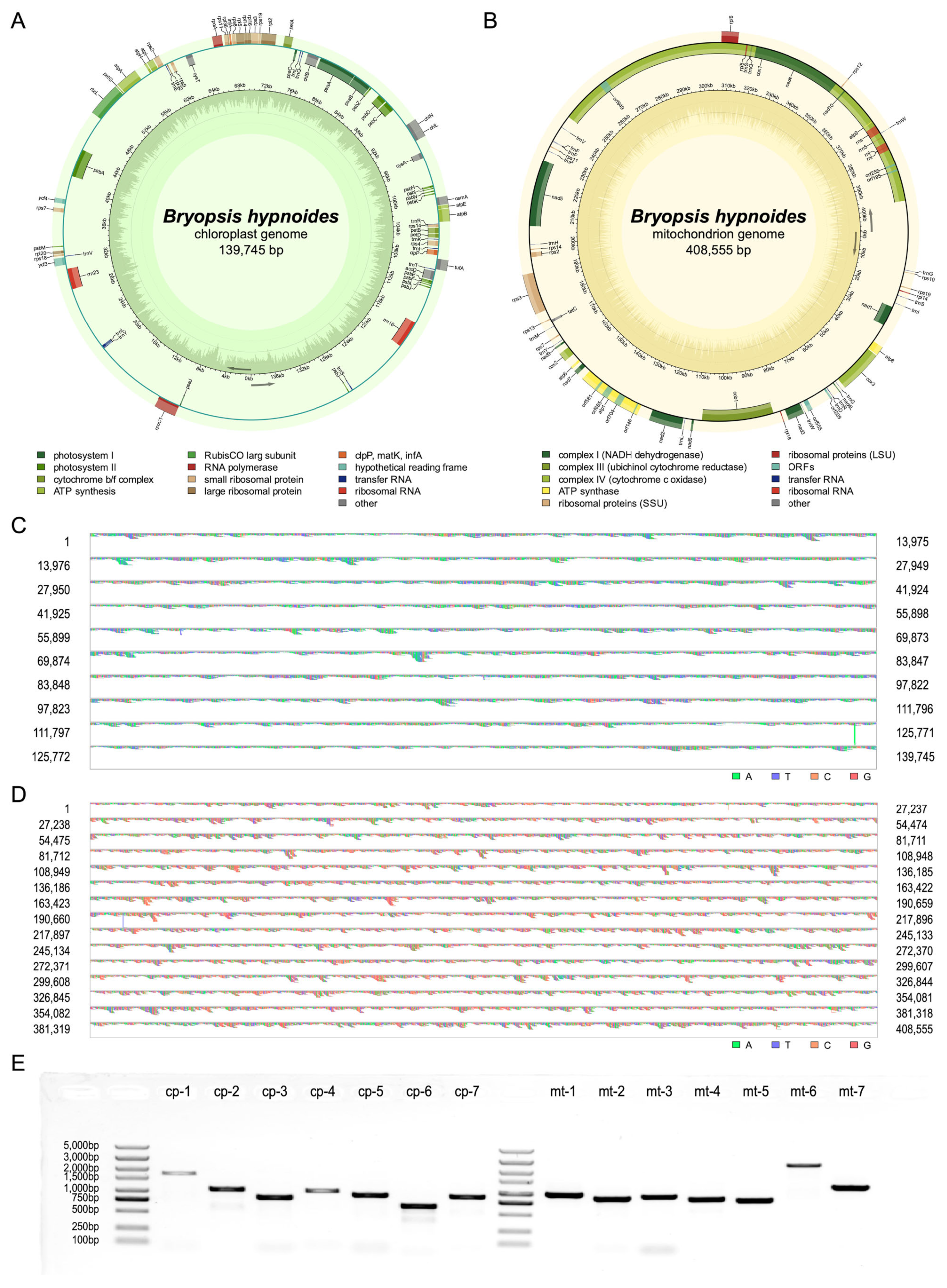 Biomolecules 15 00278 g001 Biomolecules 15 00278 g001