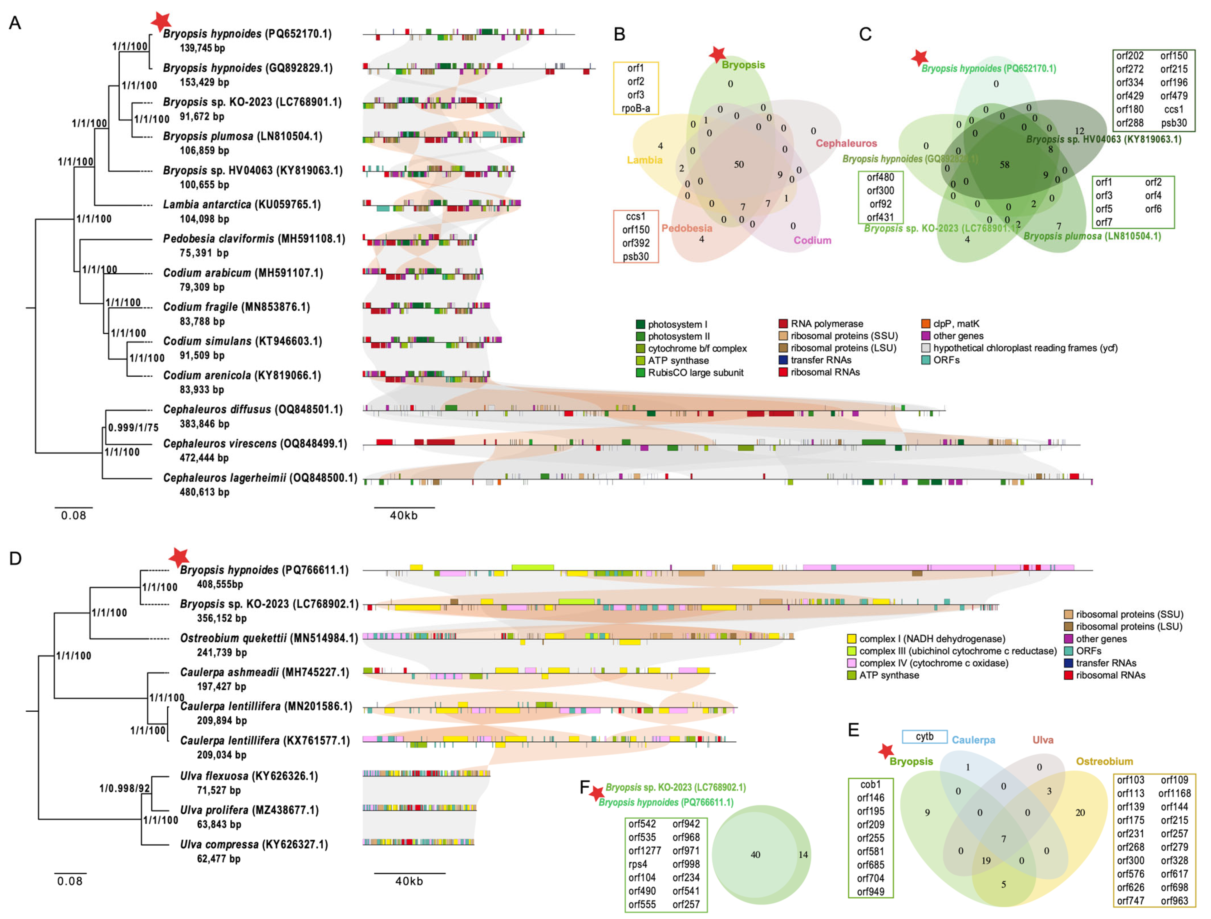 Biomolecules 15 00278 g003 Biomolecules 15 00278 g003