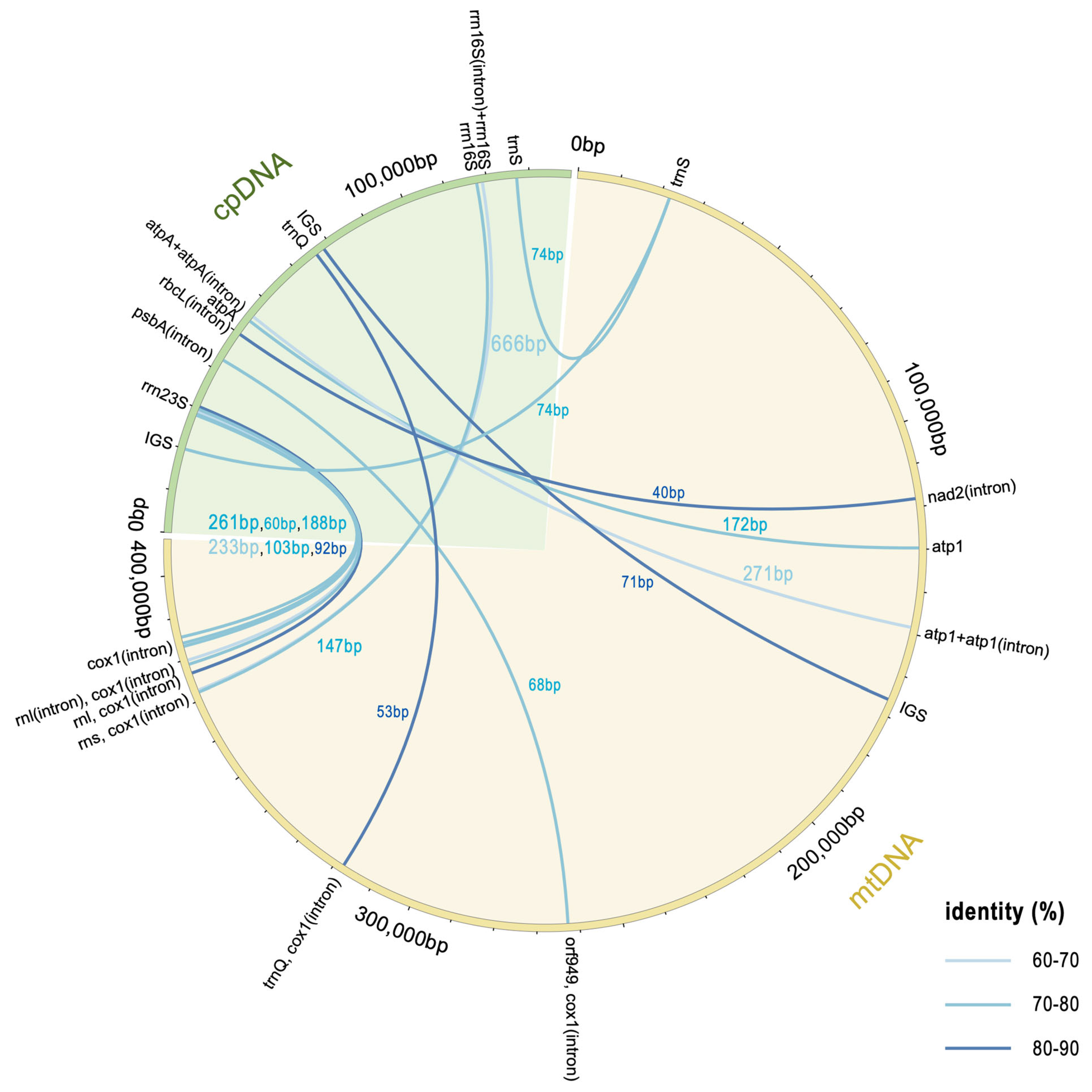 Biomolecules 15 00278 g005 Biomolecules 15 00278 g005