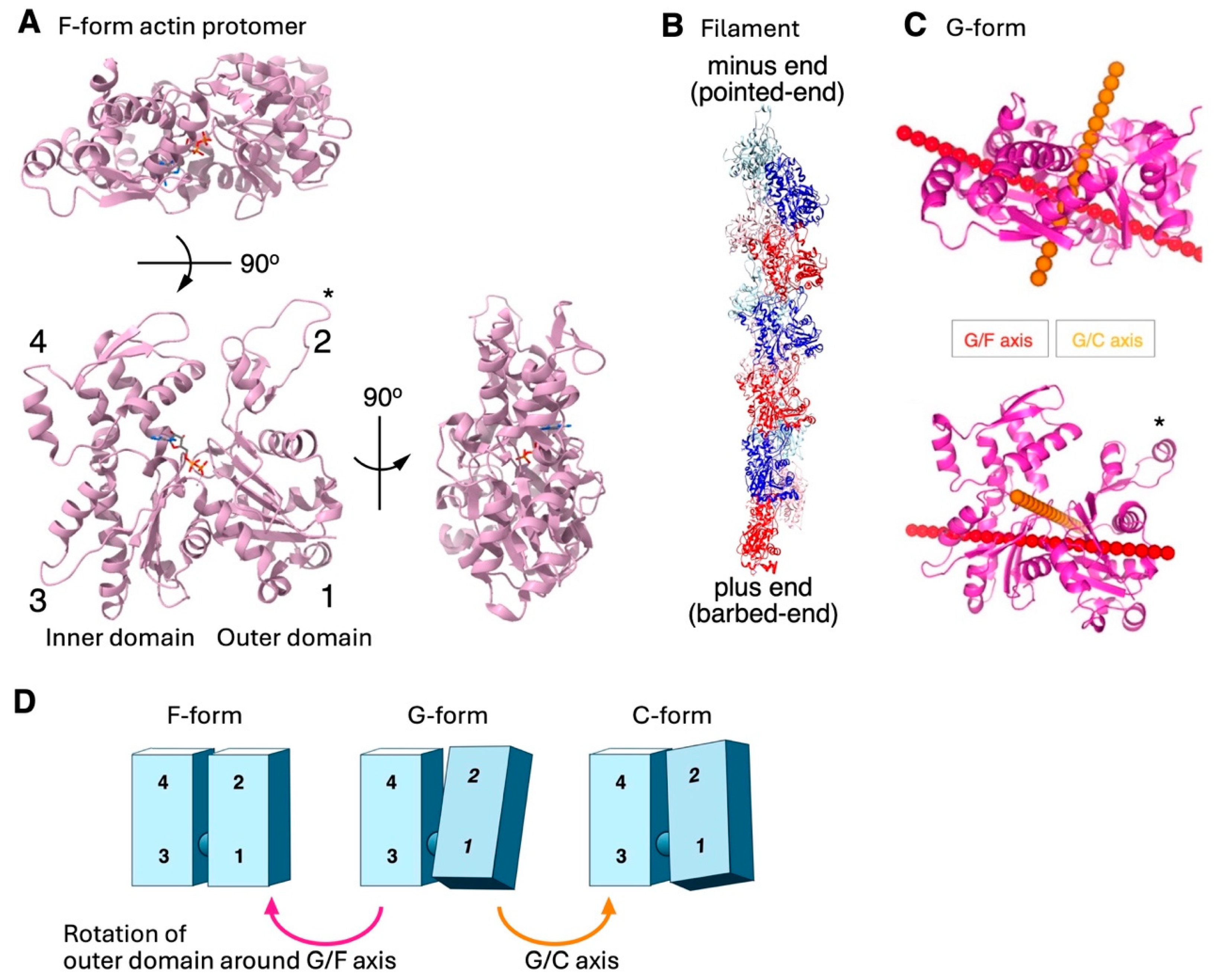 Biomolecules 15 00279 g001 Biomolecules 15 00279 g001