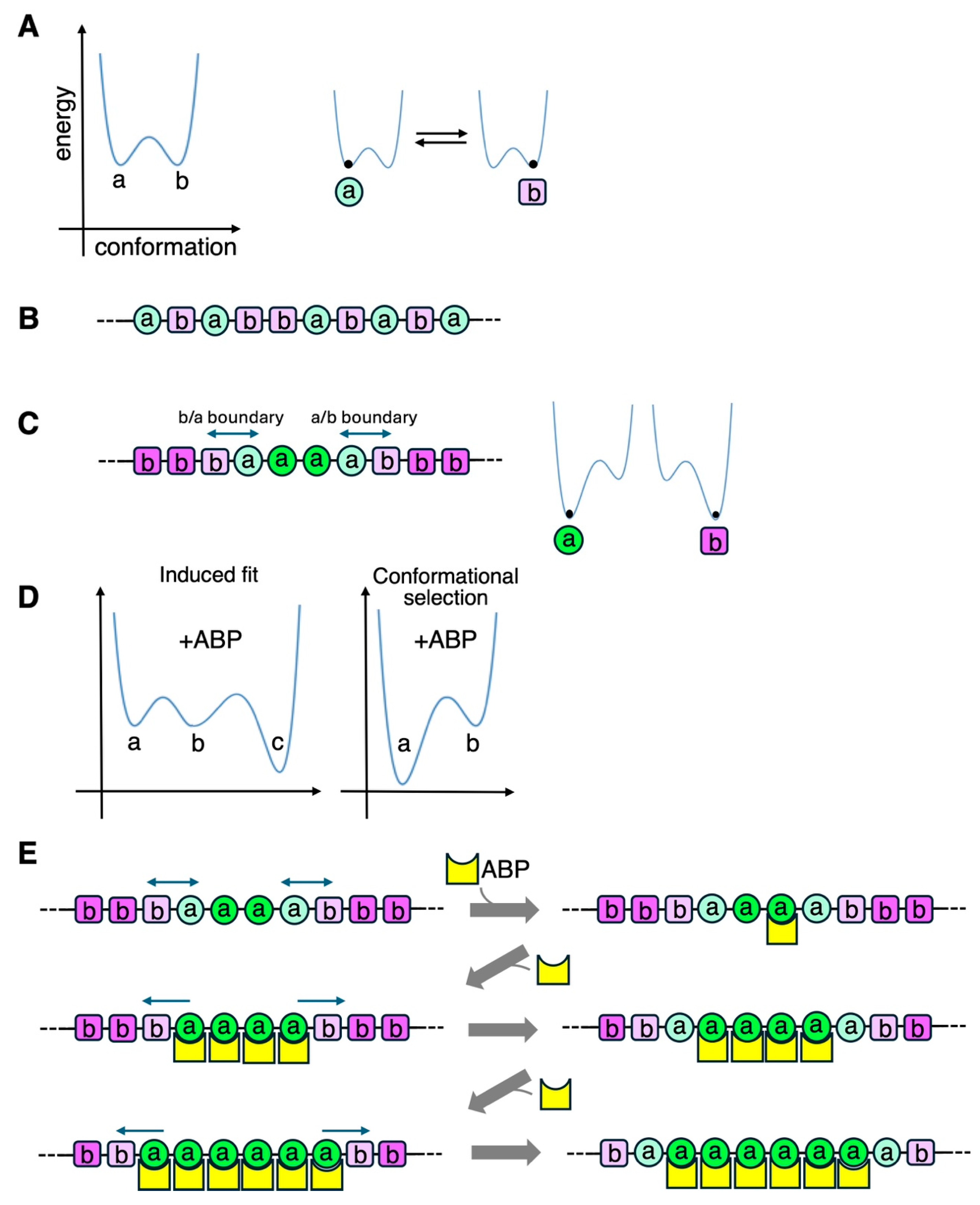 Biomolecules 15 00279 g005 Biomolecules 15 00279 g005