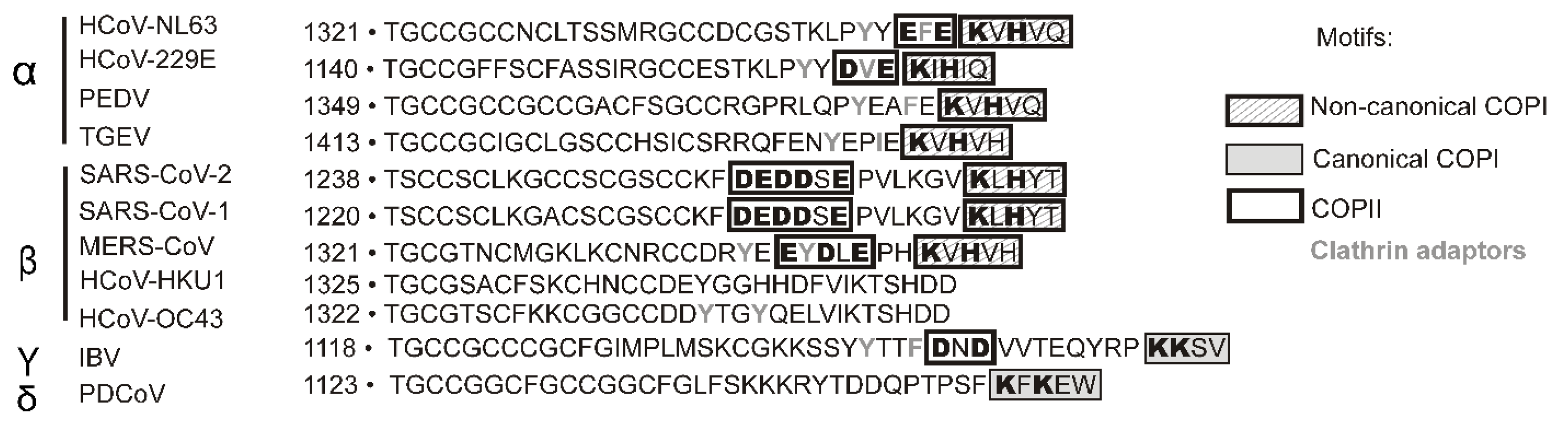 Biomolecules 15 00280 g001