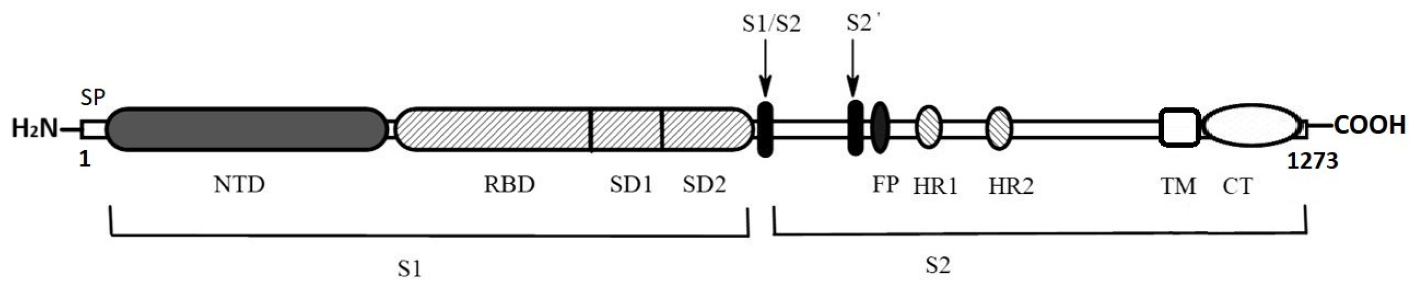 Biomolecules 15 00280 g002