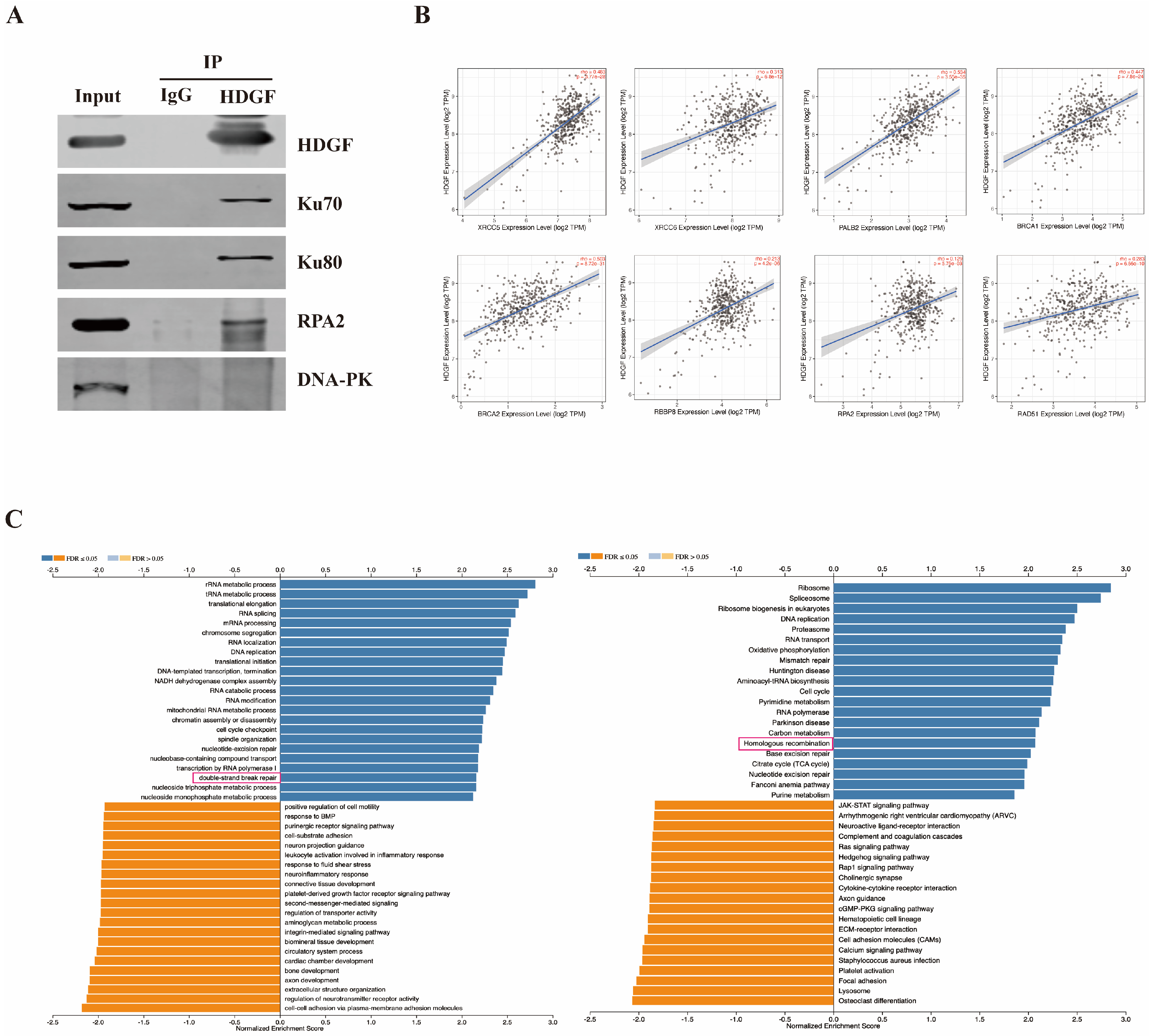 Biomolecules 15 00282 g003 Biomolecules 15 00282 g003
