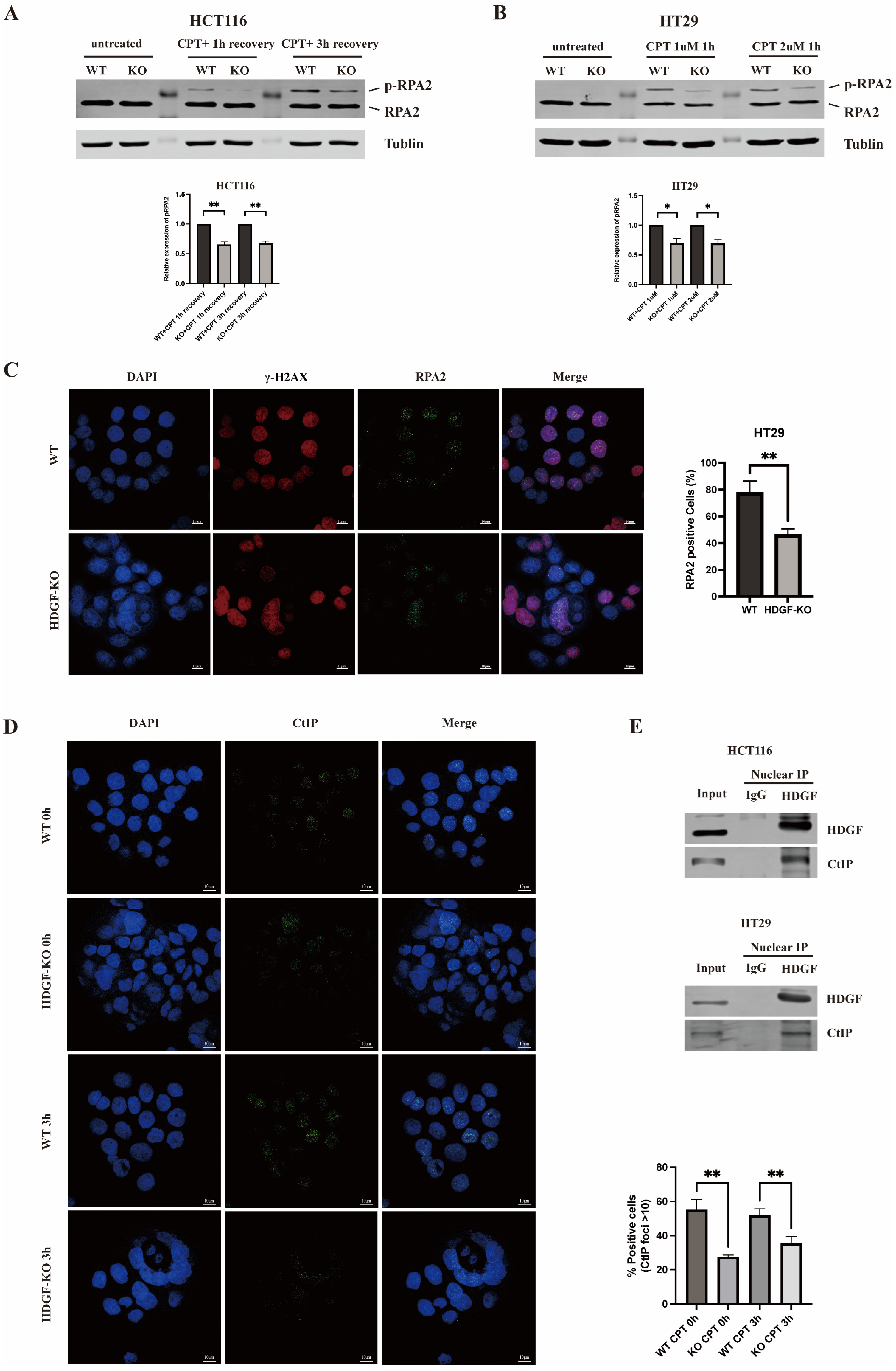 Biomolecules 15 00282 g004 Biomolecules 15 00282 g004