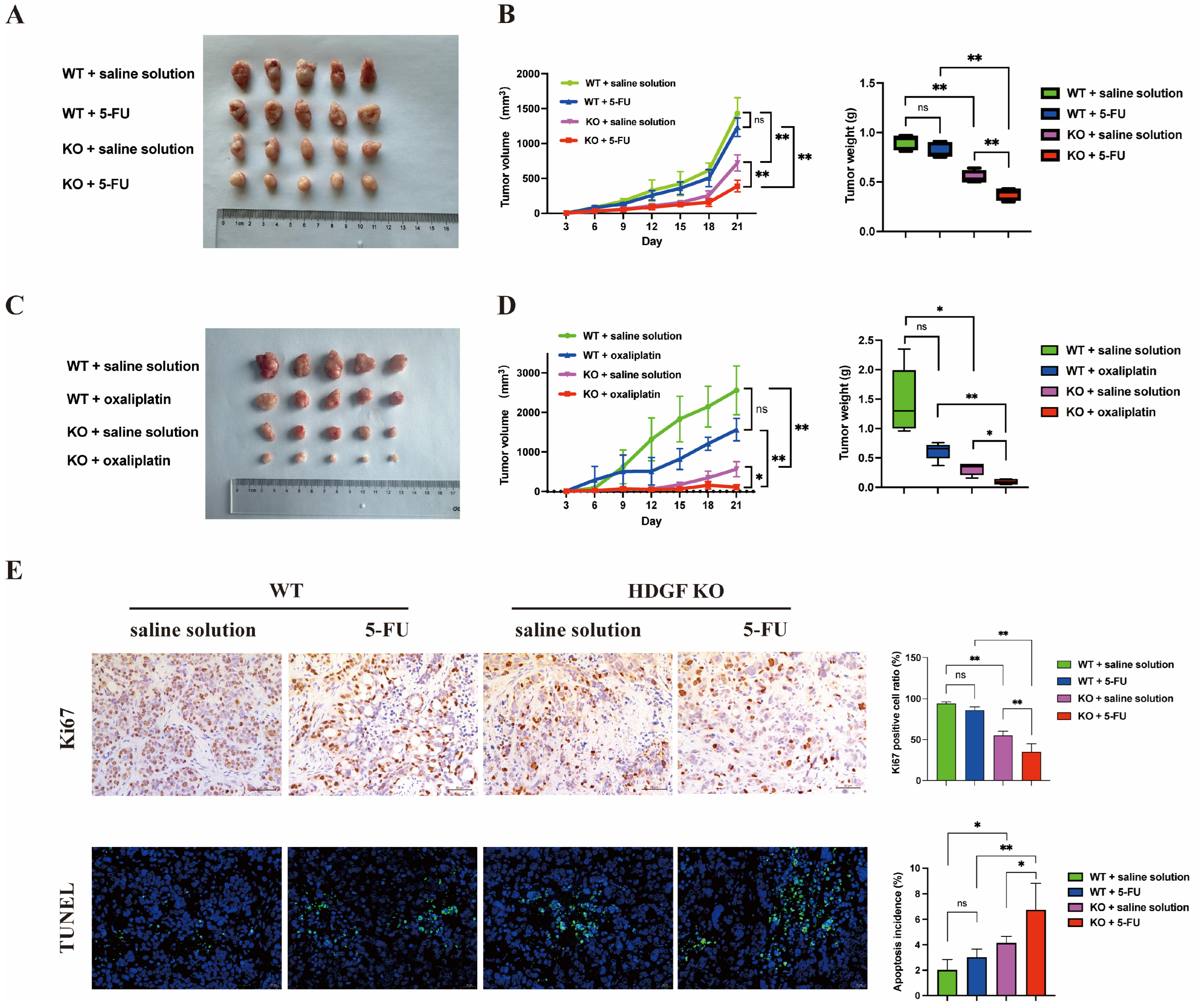 Biomolecules 15 00282 g006 Biomolecules 15 00282 g006