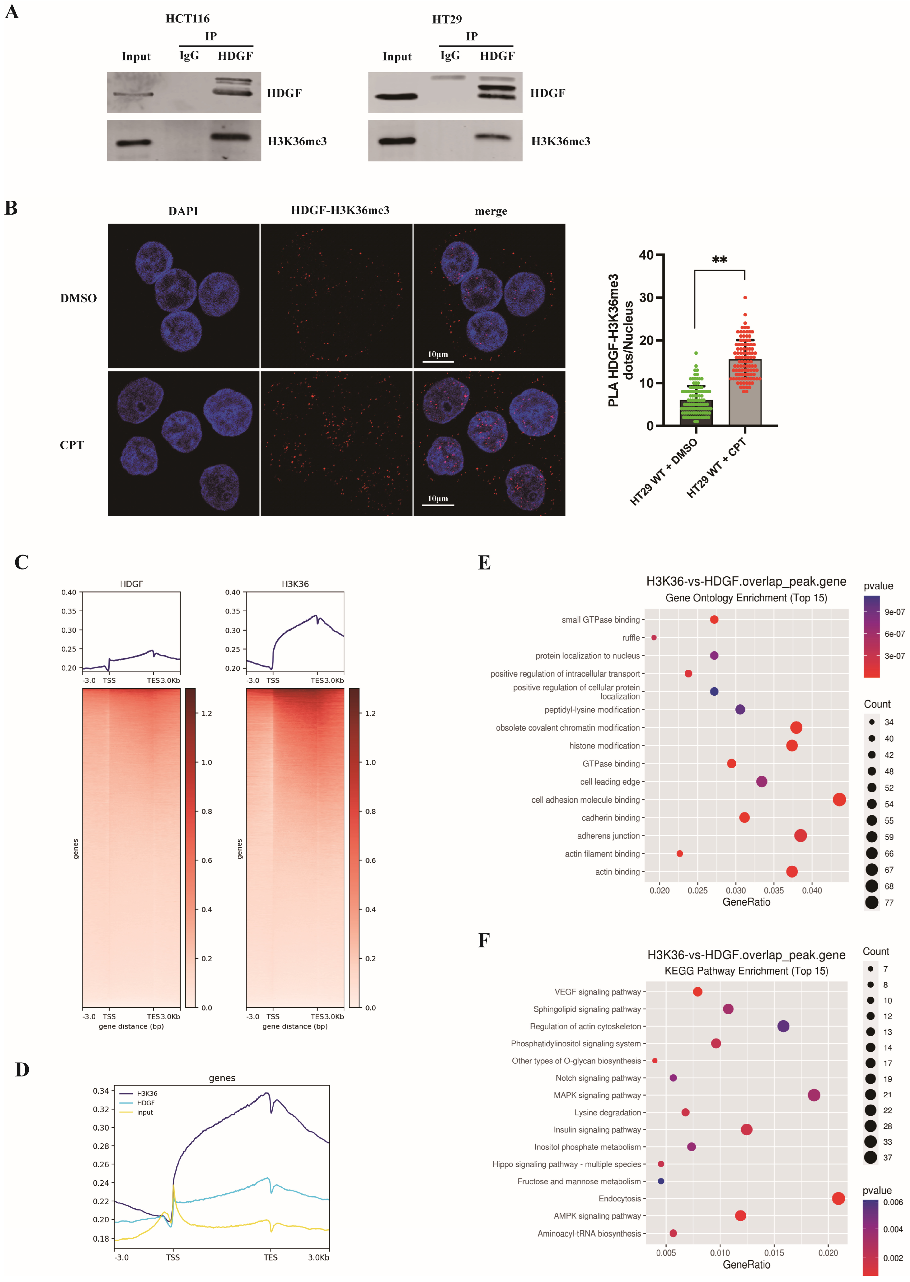 Biomolecules 15 00282 g007 Biomolecules 15 00282 g007