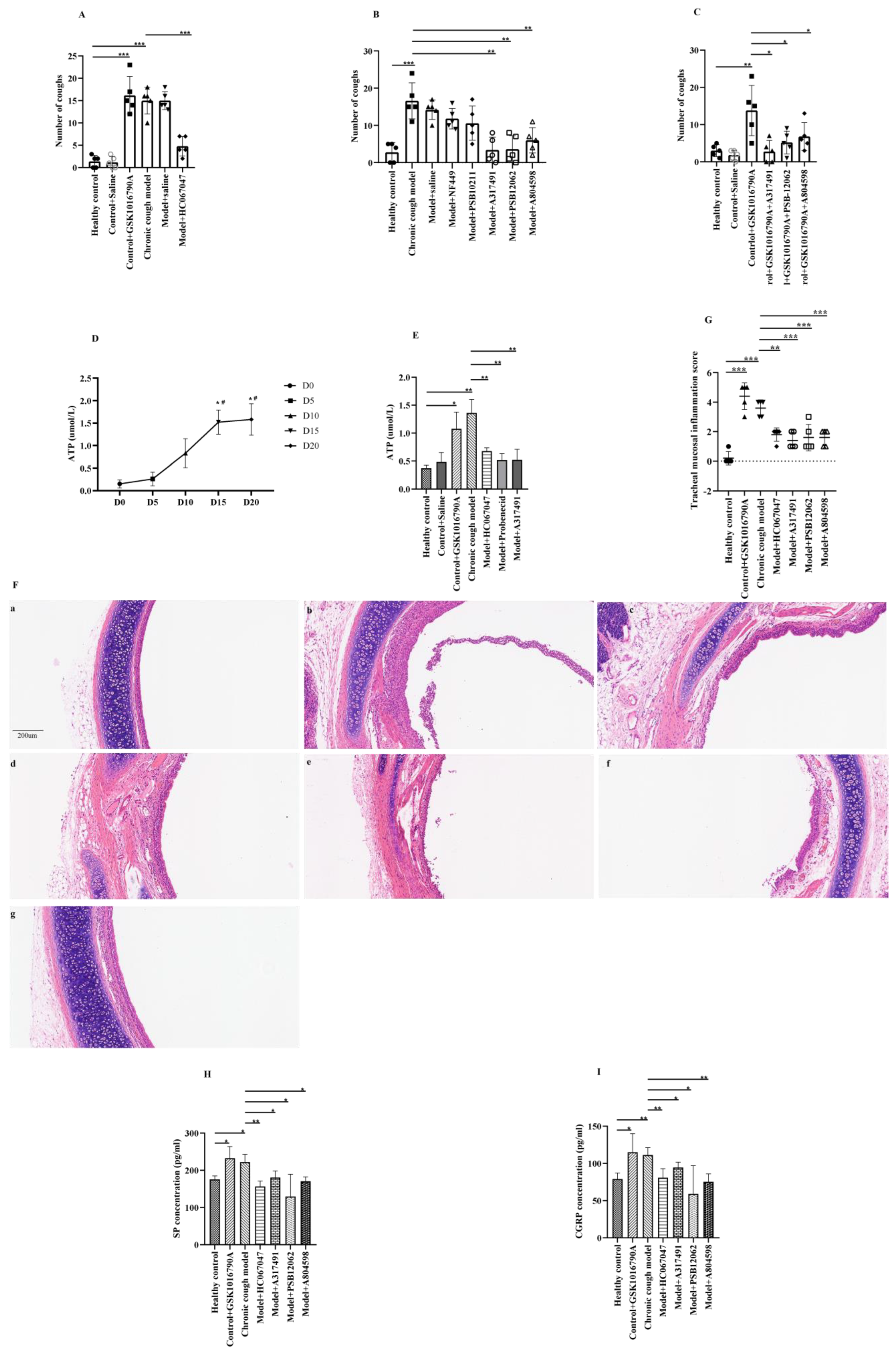 Biomolecules 15 00285 g001