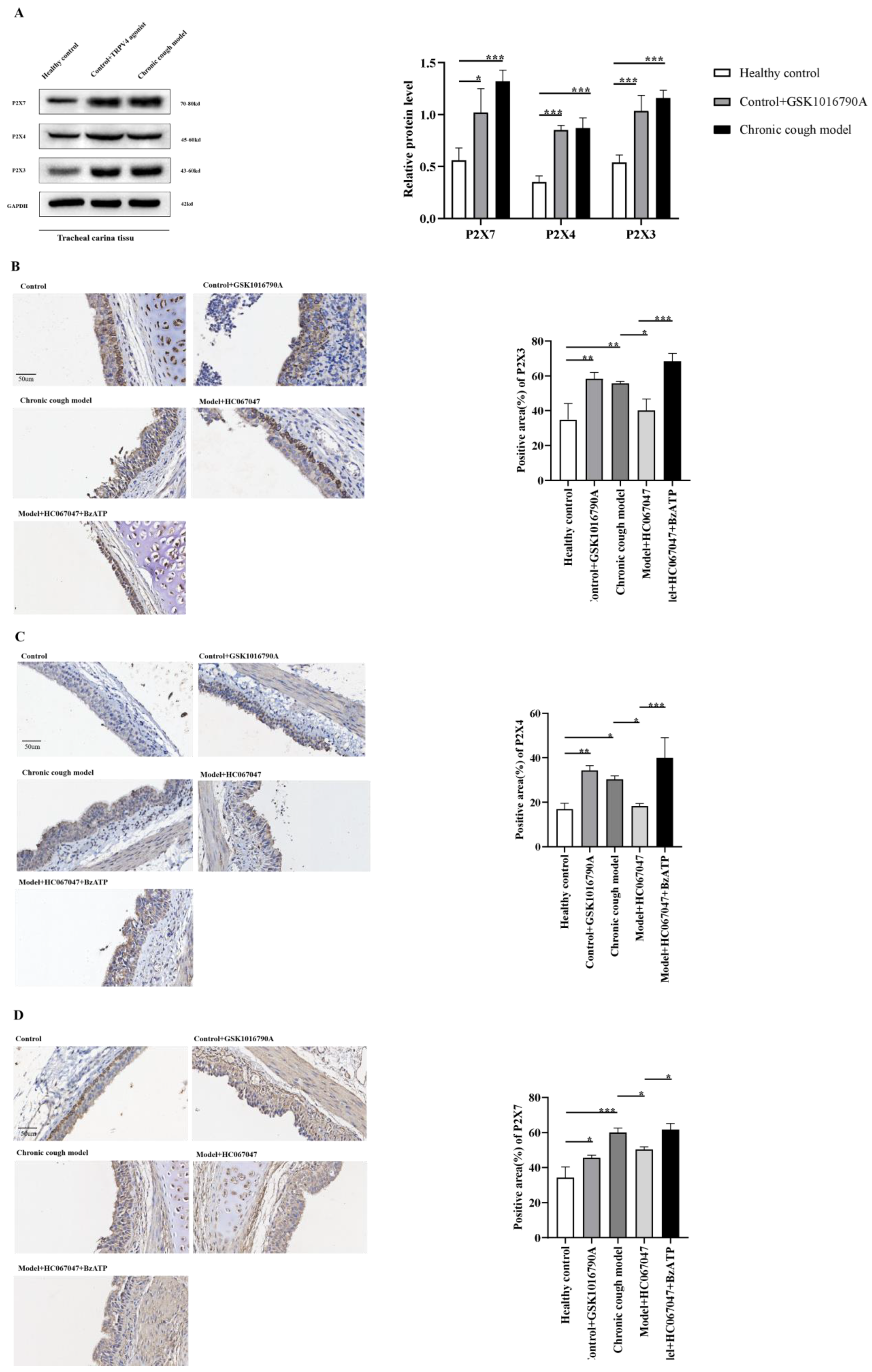 Biomolecules 15 00285 g003