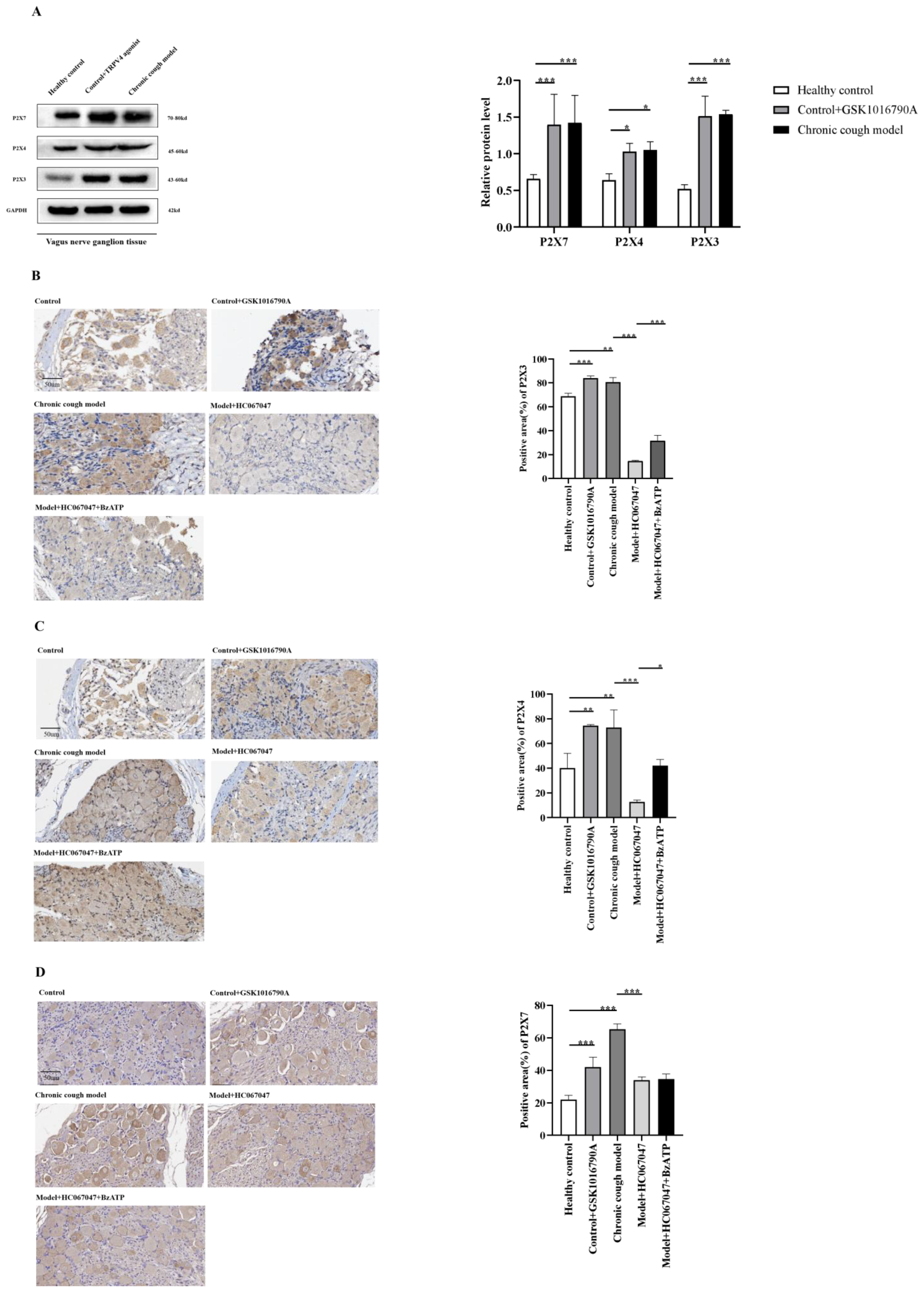 Biomolecules 15 00285 g004