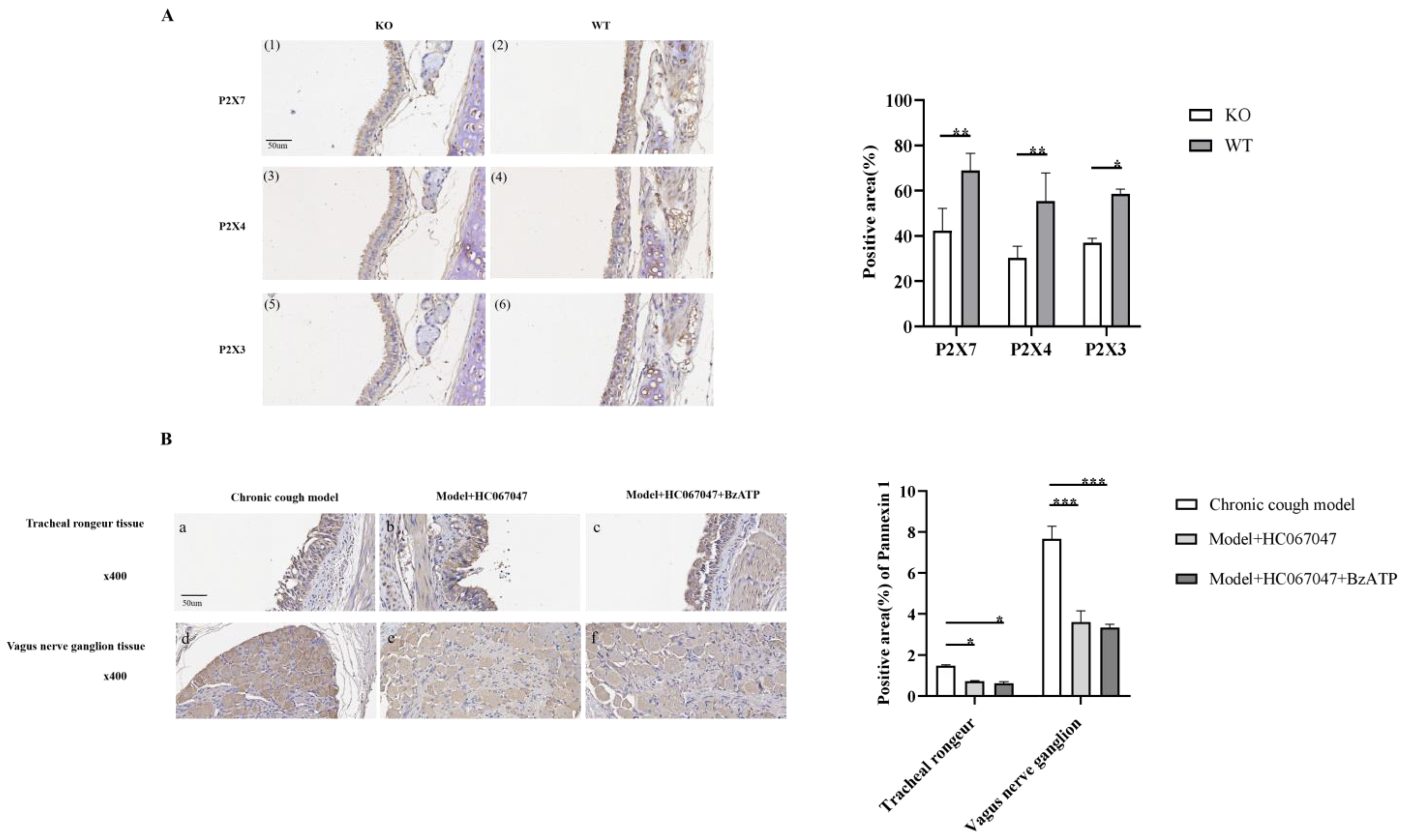 Biomolecules 15 00285 g005
