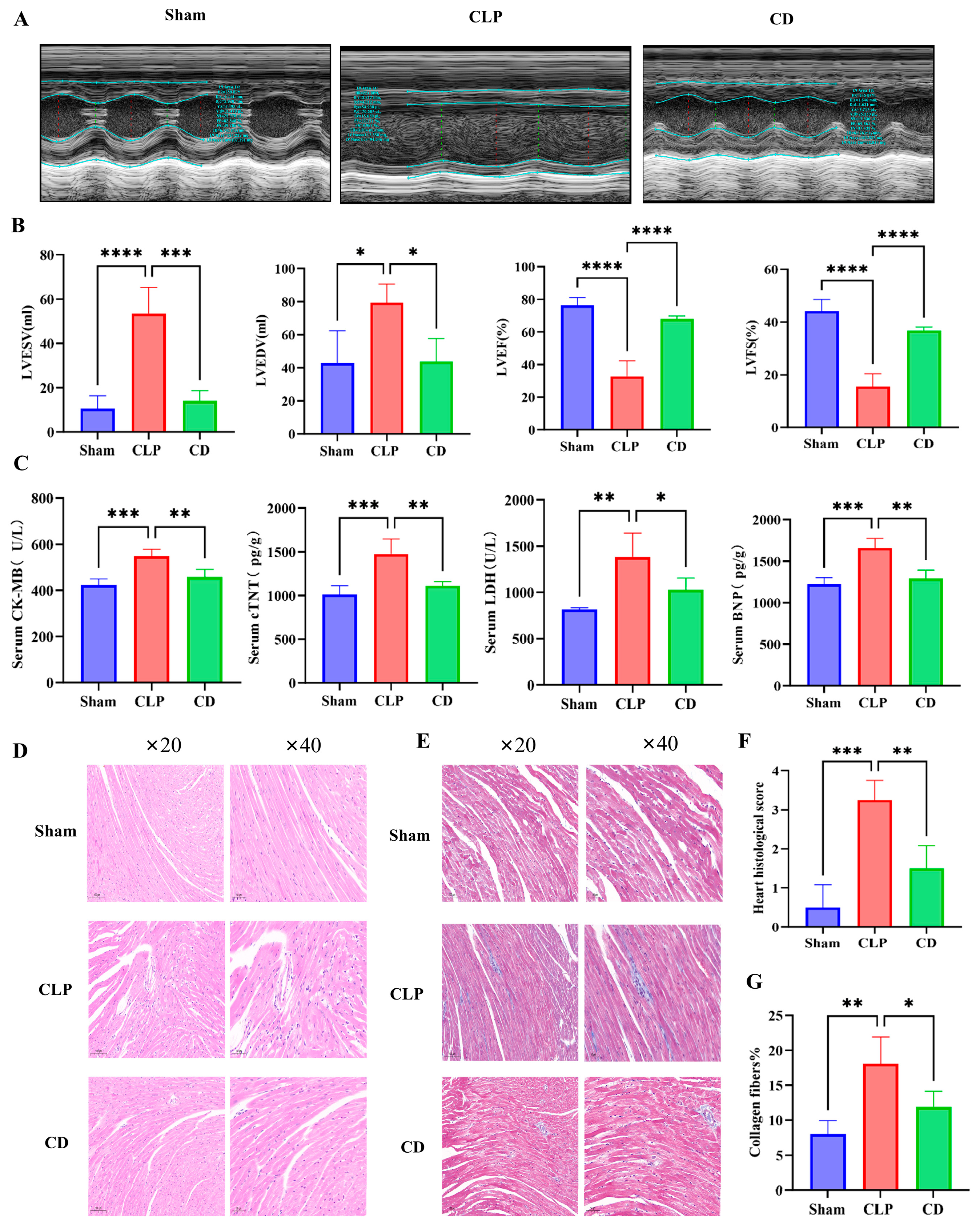 Biomolecules 15 00286 g002