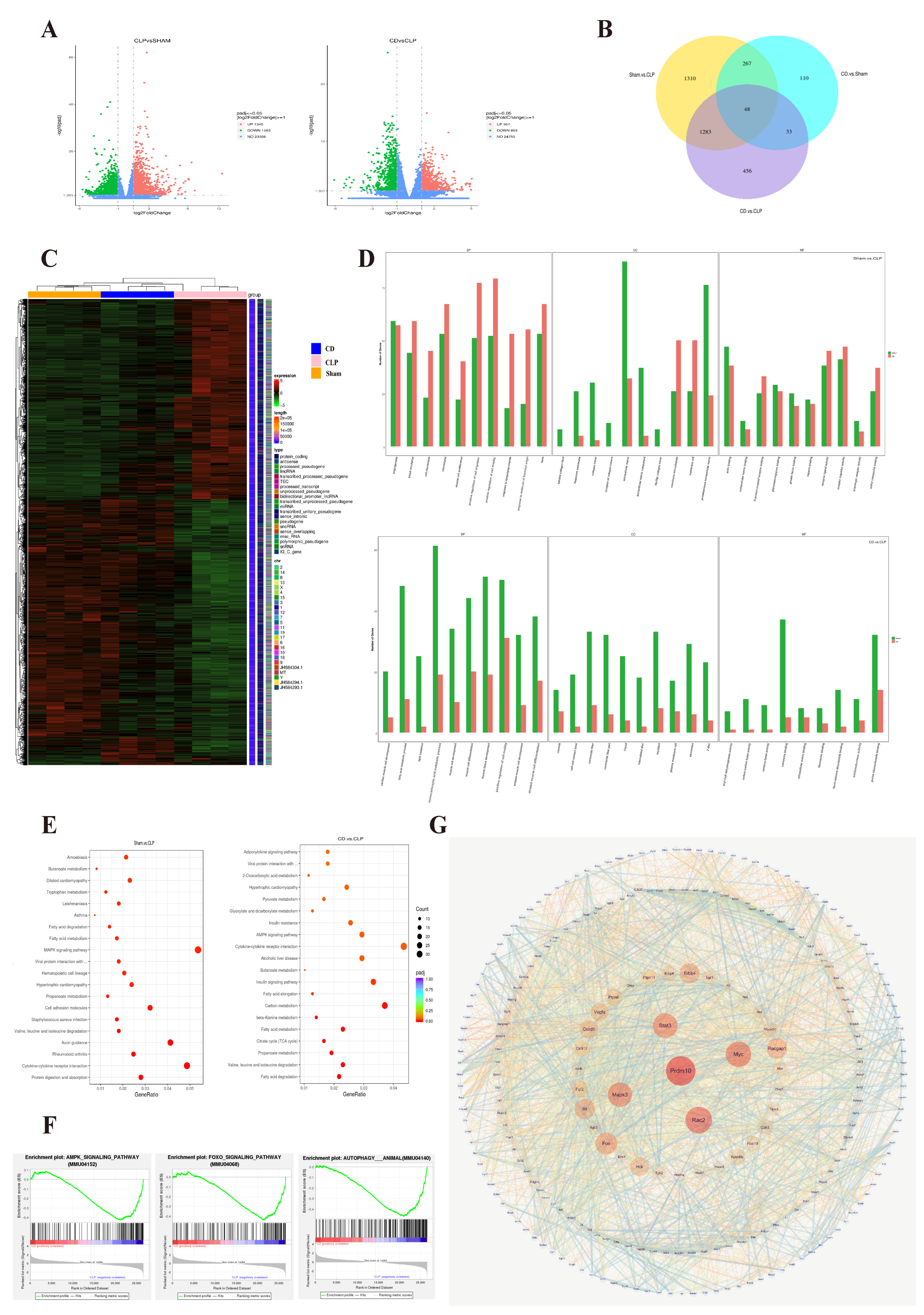 Biomolecules 15 00286 g003