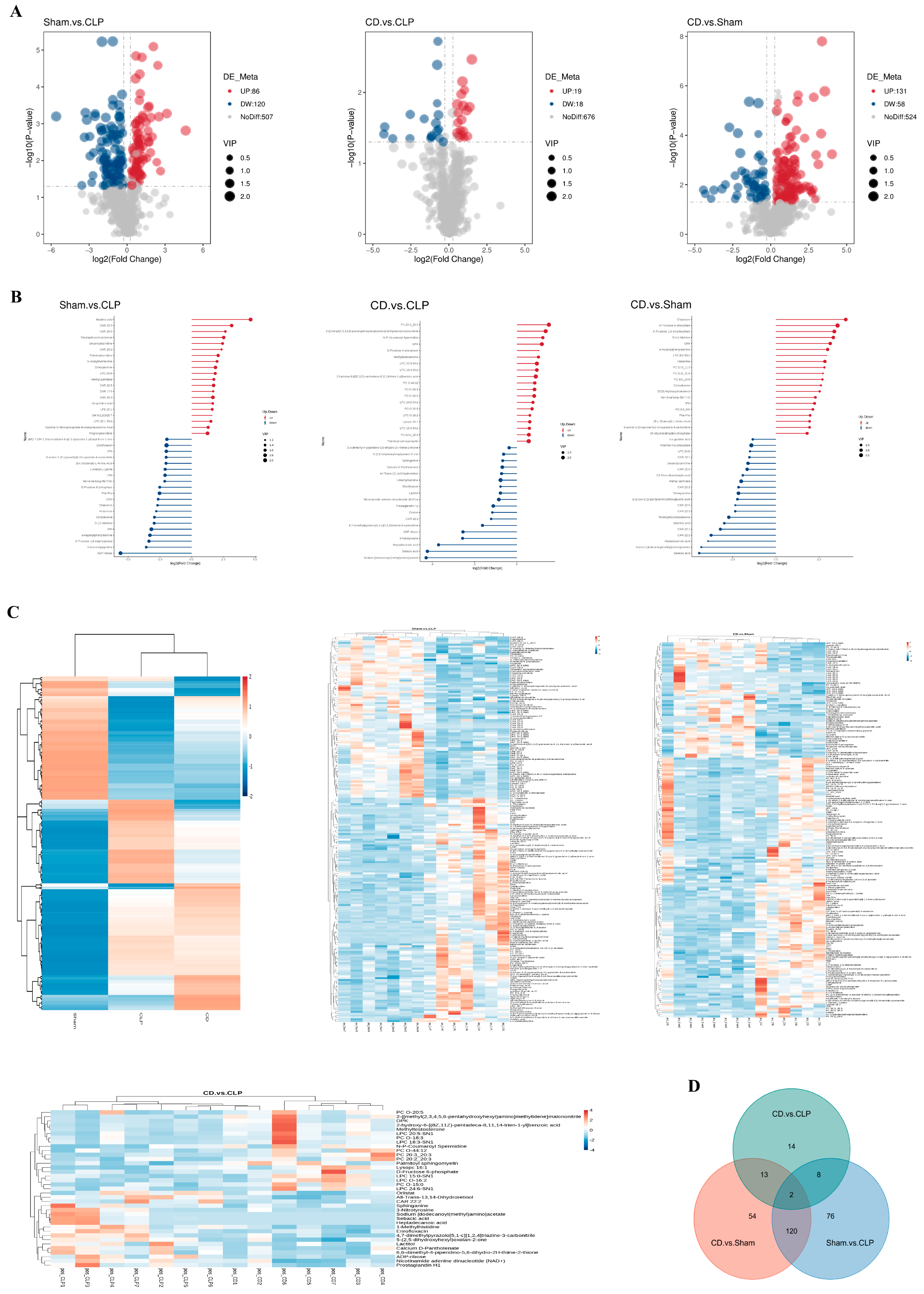 Biomolecules 15 00286 g004