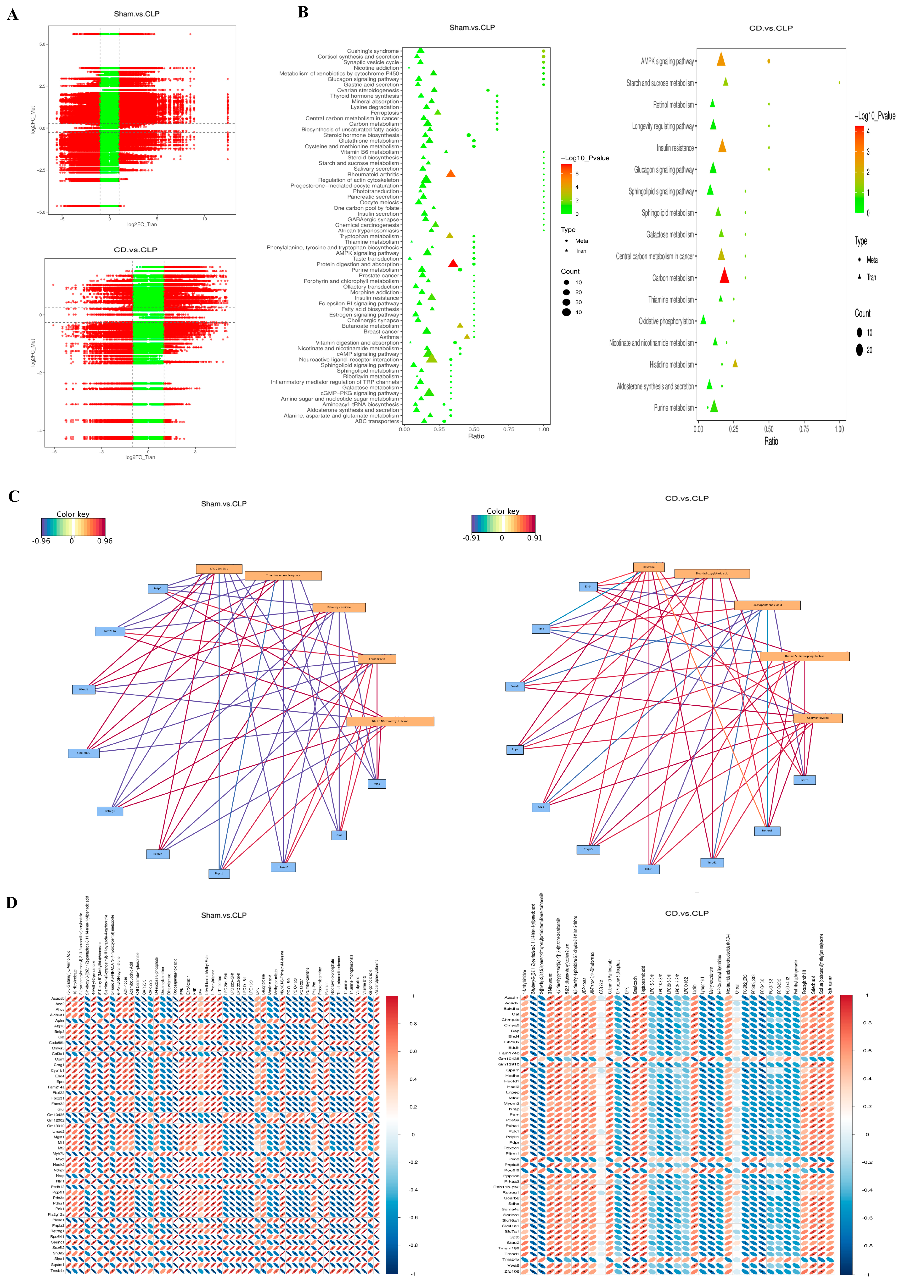 Biomolecules 15 00286 g006