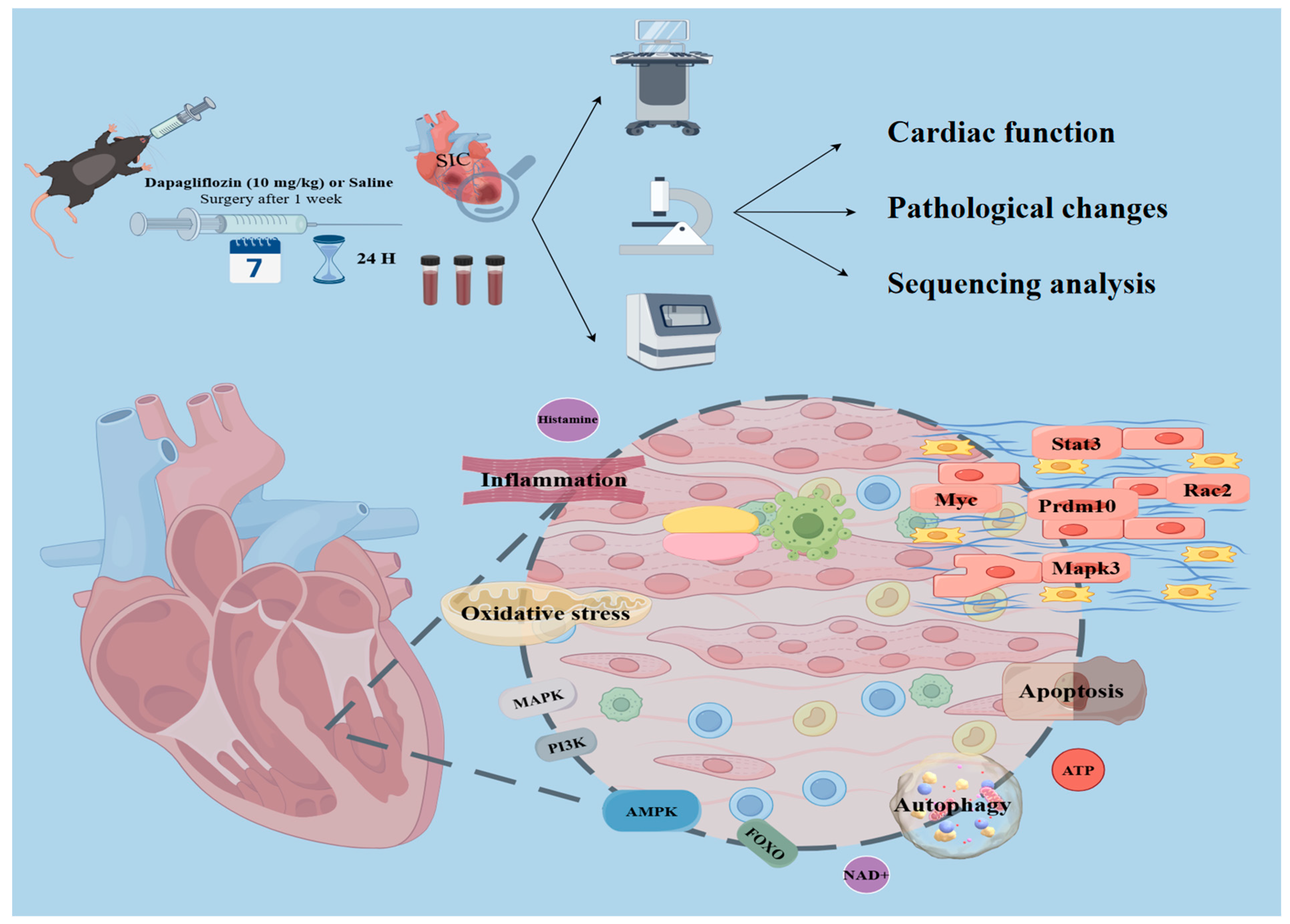 Biomolecules 15 00286 g007