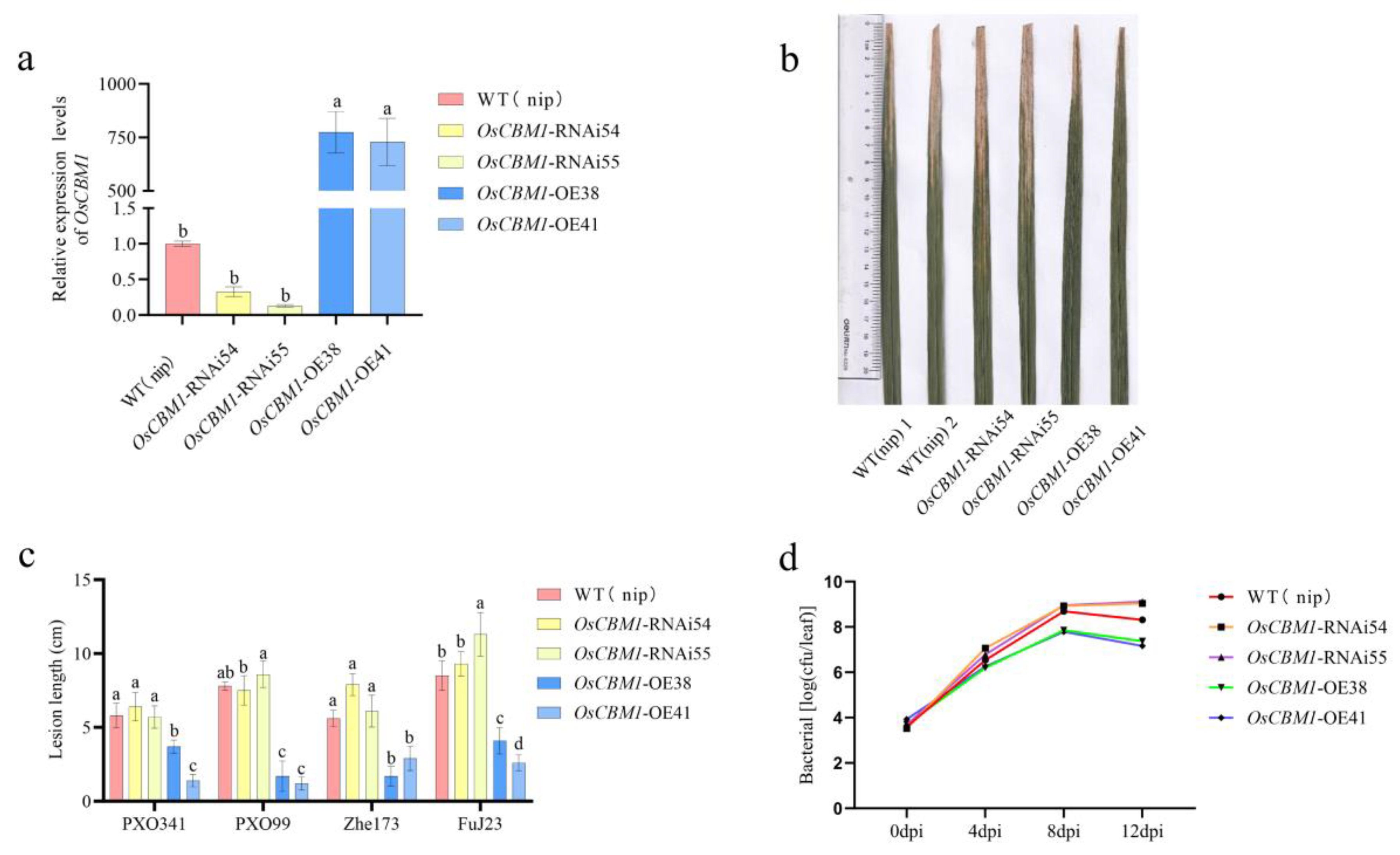 Biomolecules 15 00287 g002