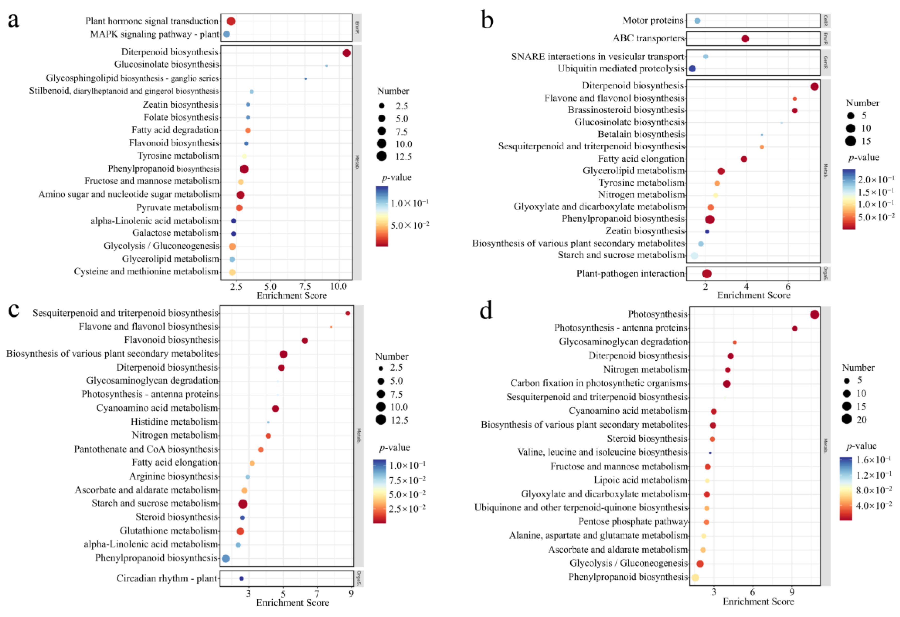 Biomolecules 15 00287 g005