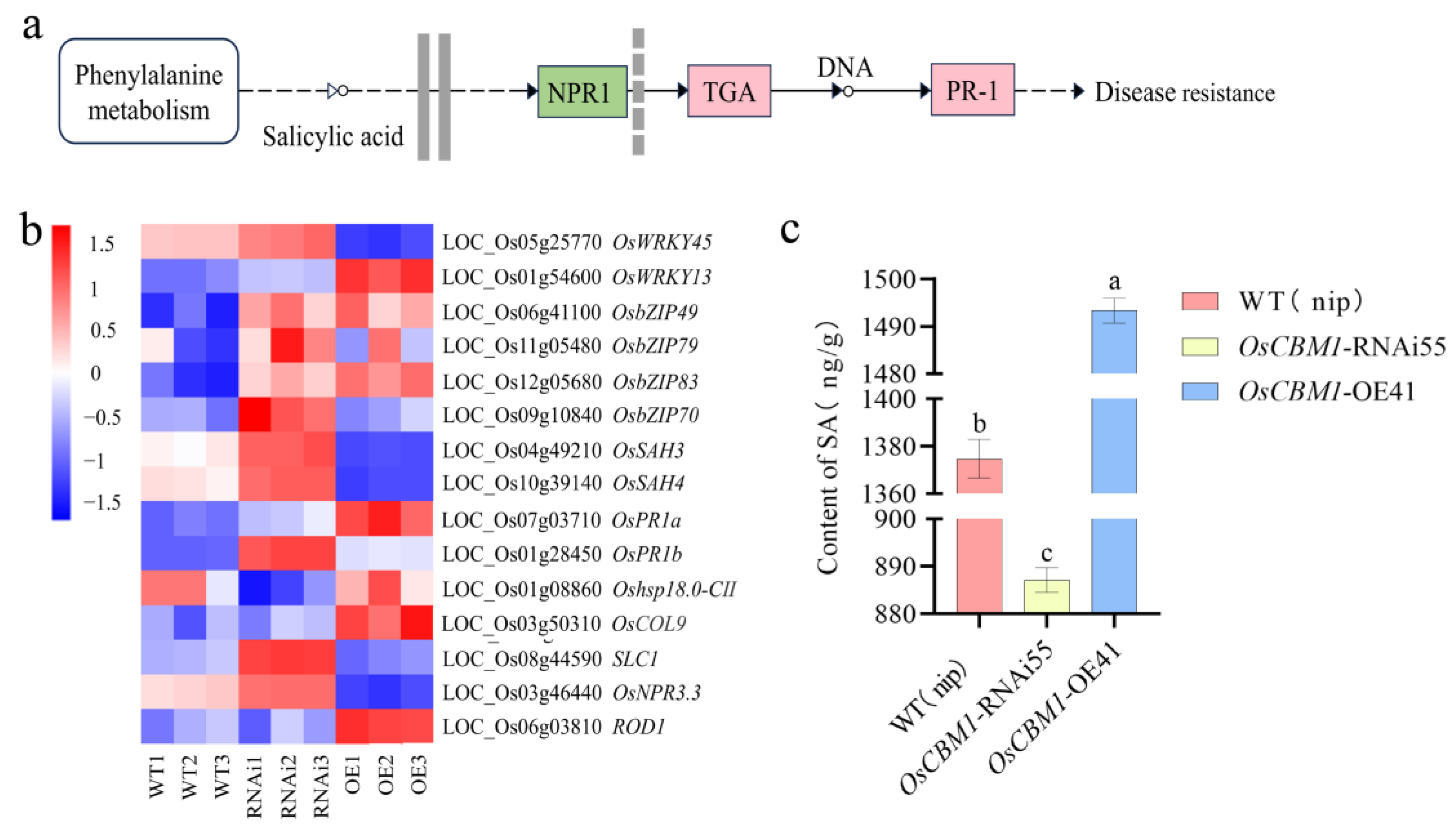 Biomolecules 15 00287 g006