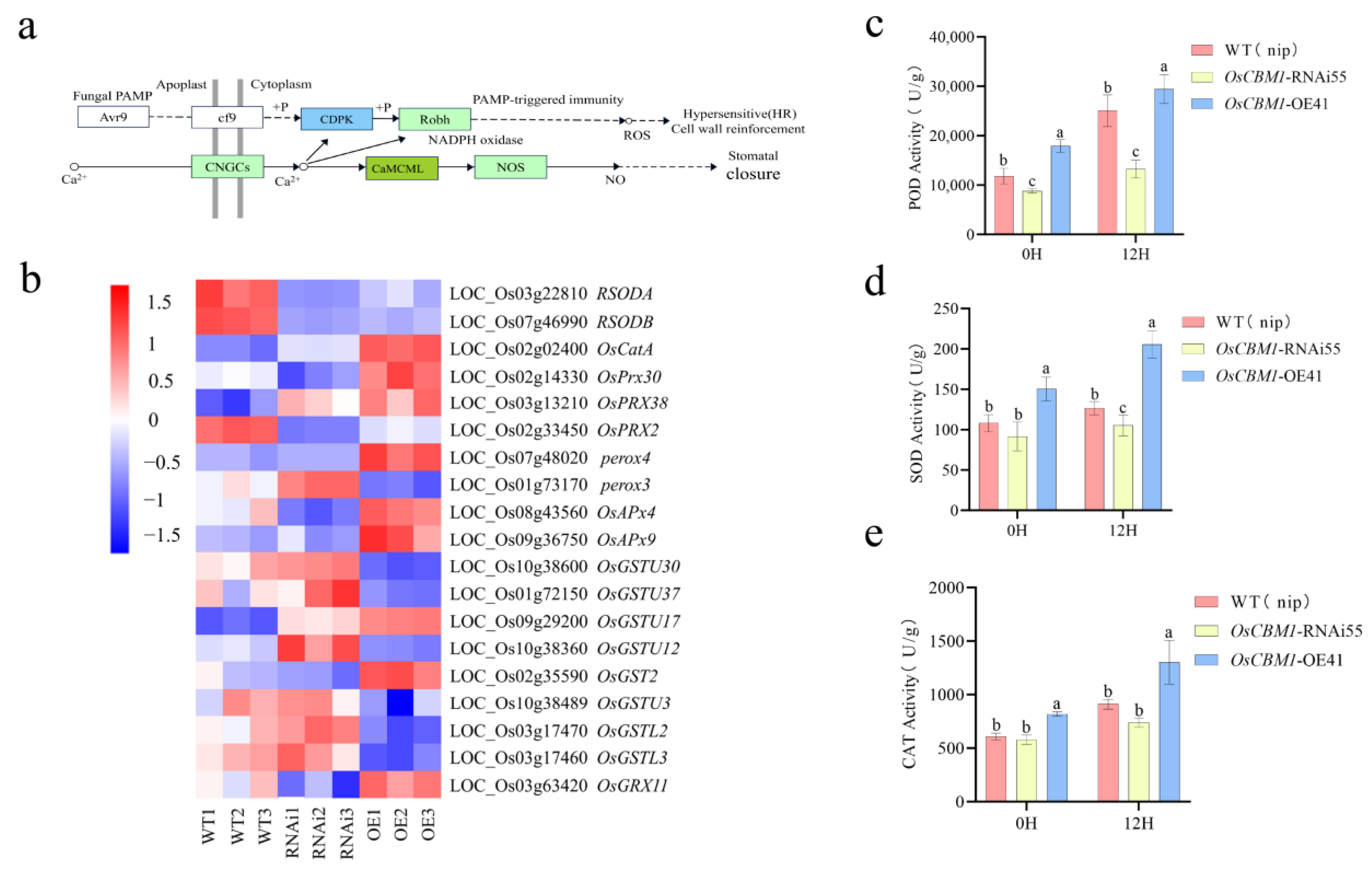 Biomolecules 15 00287 g007
