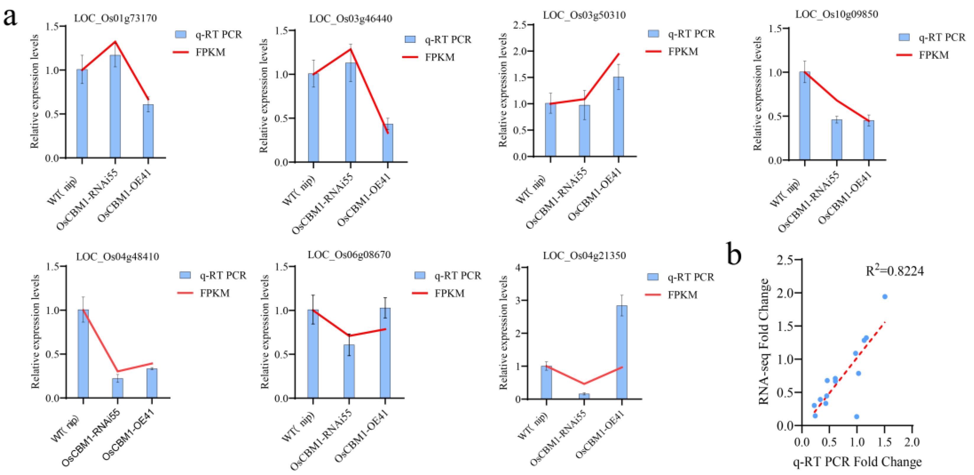Biomolecules 15 00287 g008