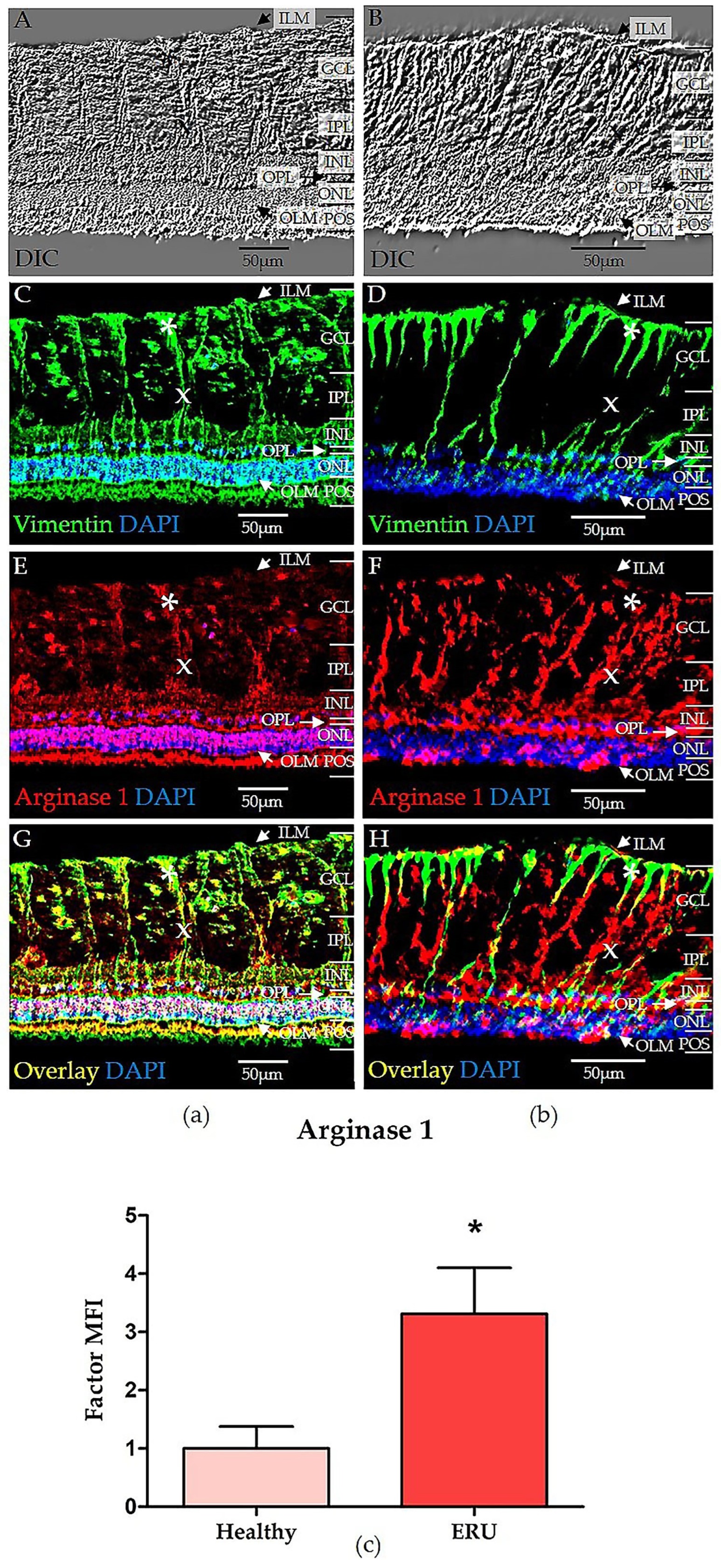 Biomolecules 15 00288 g002