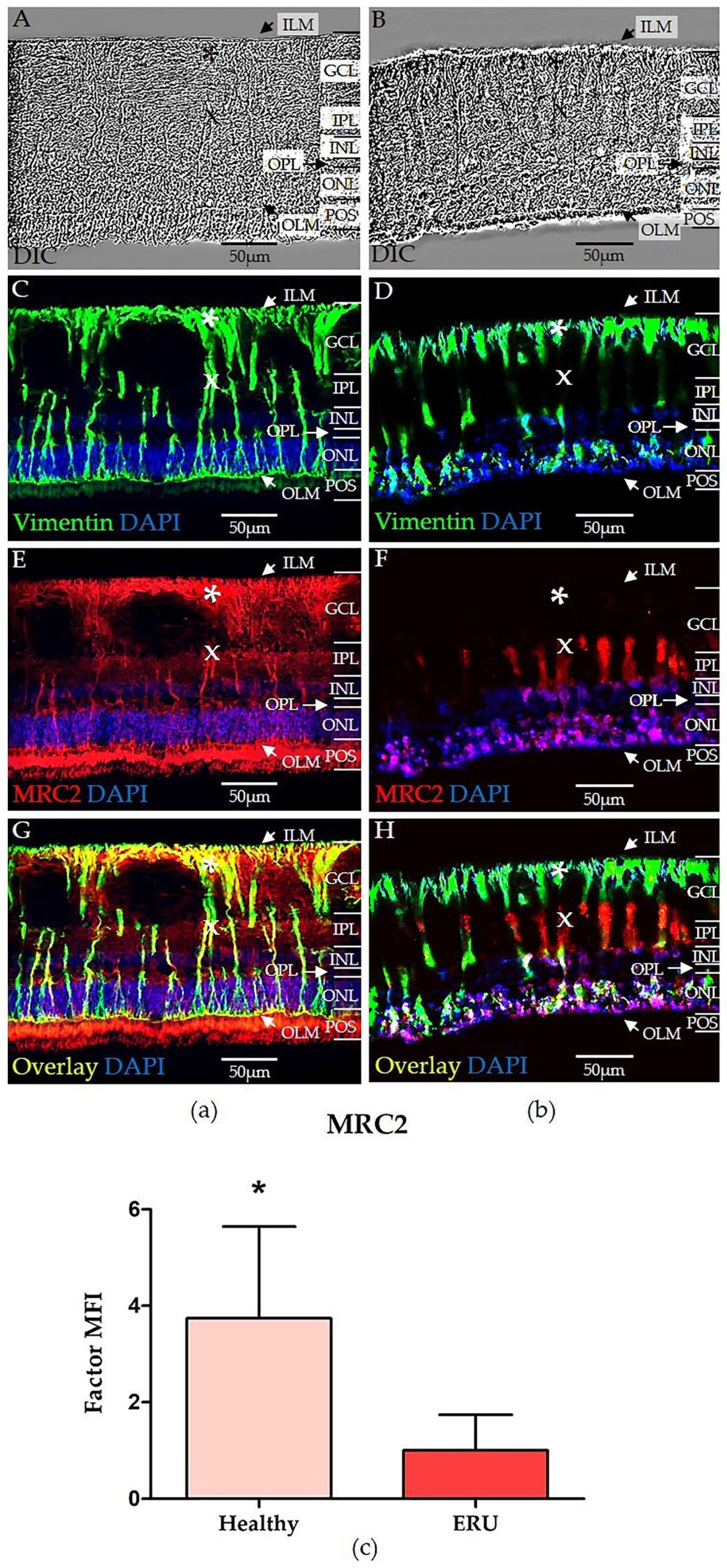 Biomolecules 15 00288 g003
