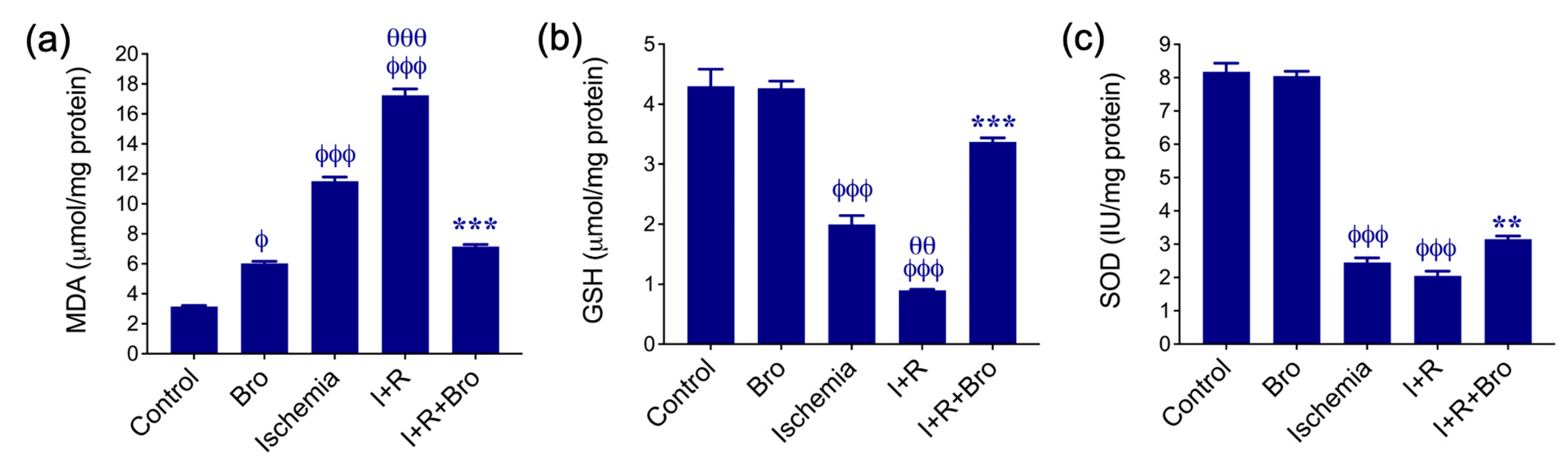Biomolecules 15 00292 g001