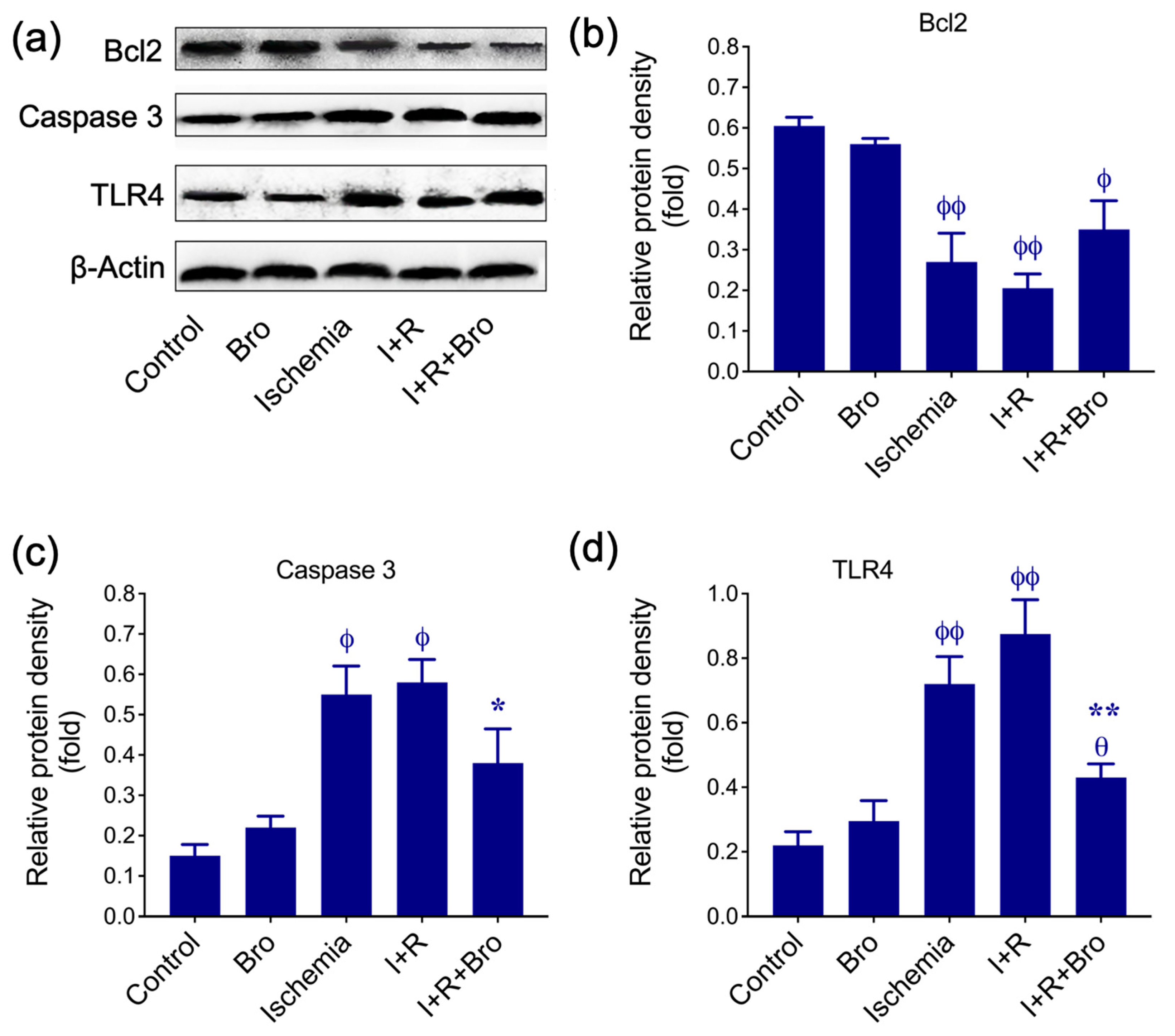 Biomolecules 15 00292 g003
