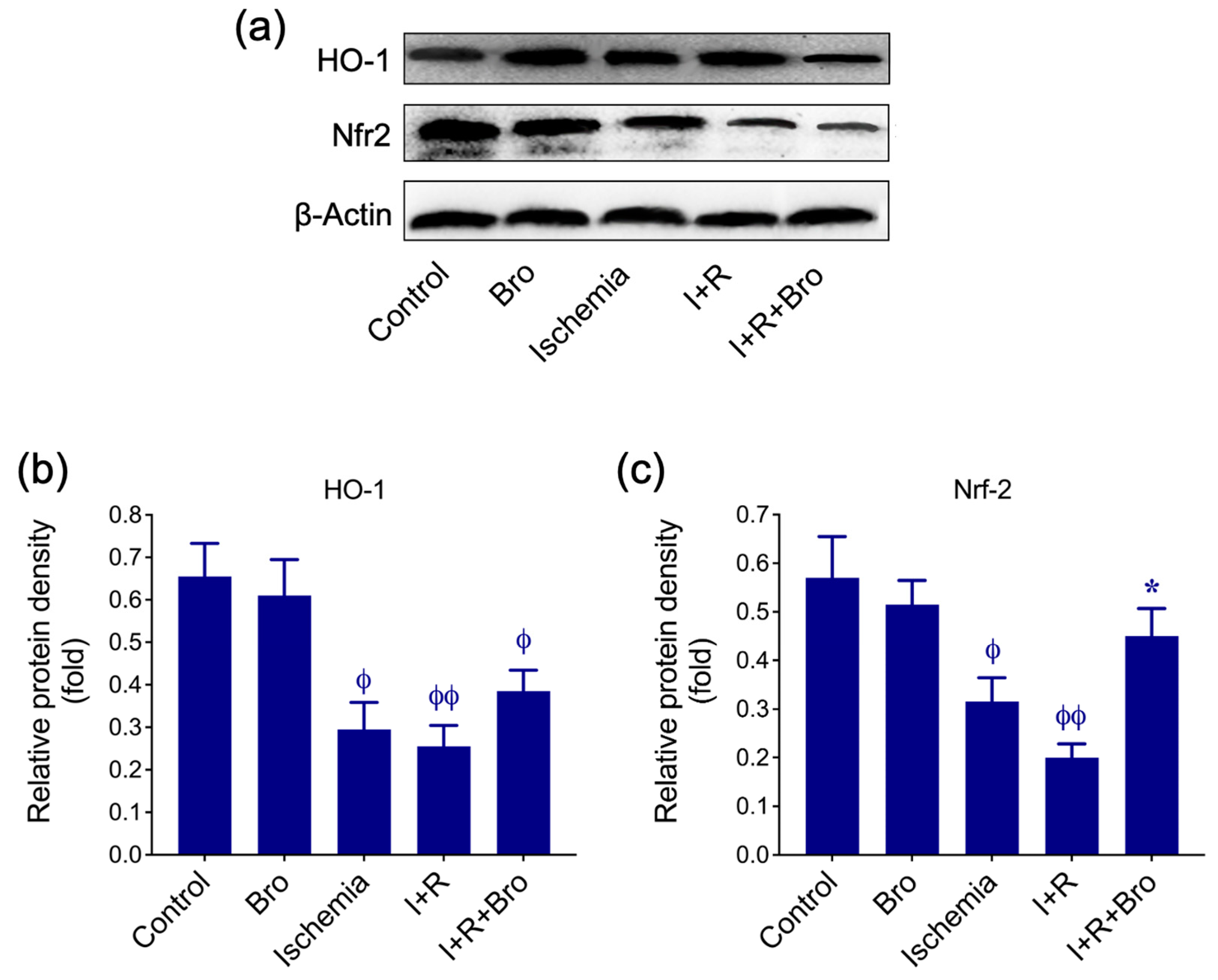 Biomolecules 15 00292 g004