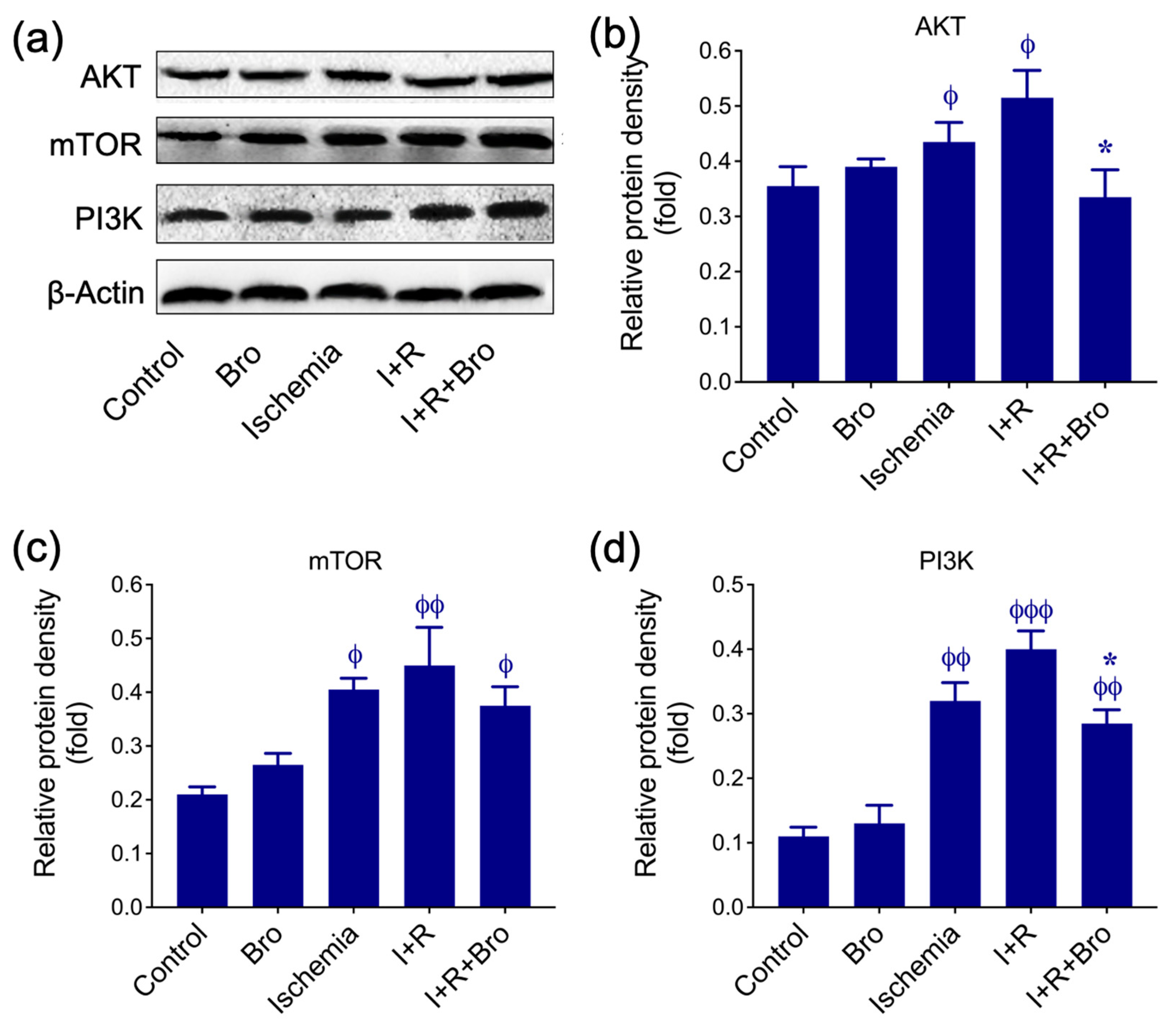 Biomolecules 15 00292 g005