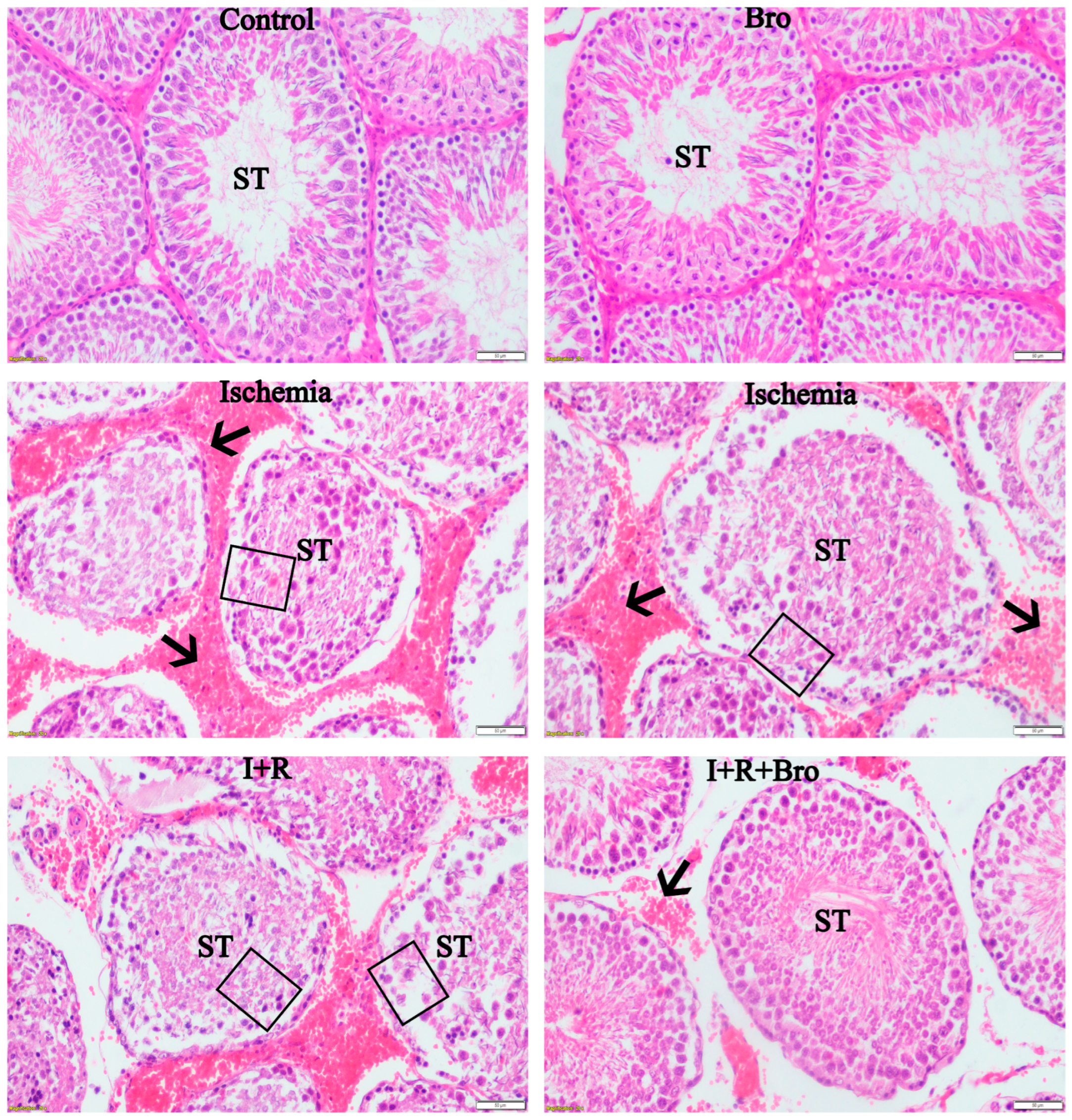 Biomolecules 15 00292 g006