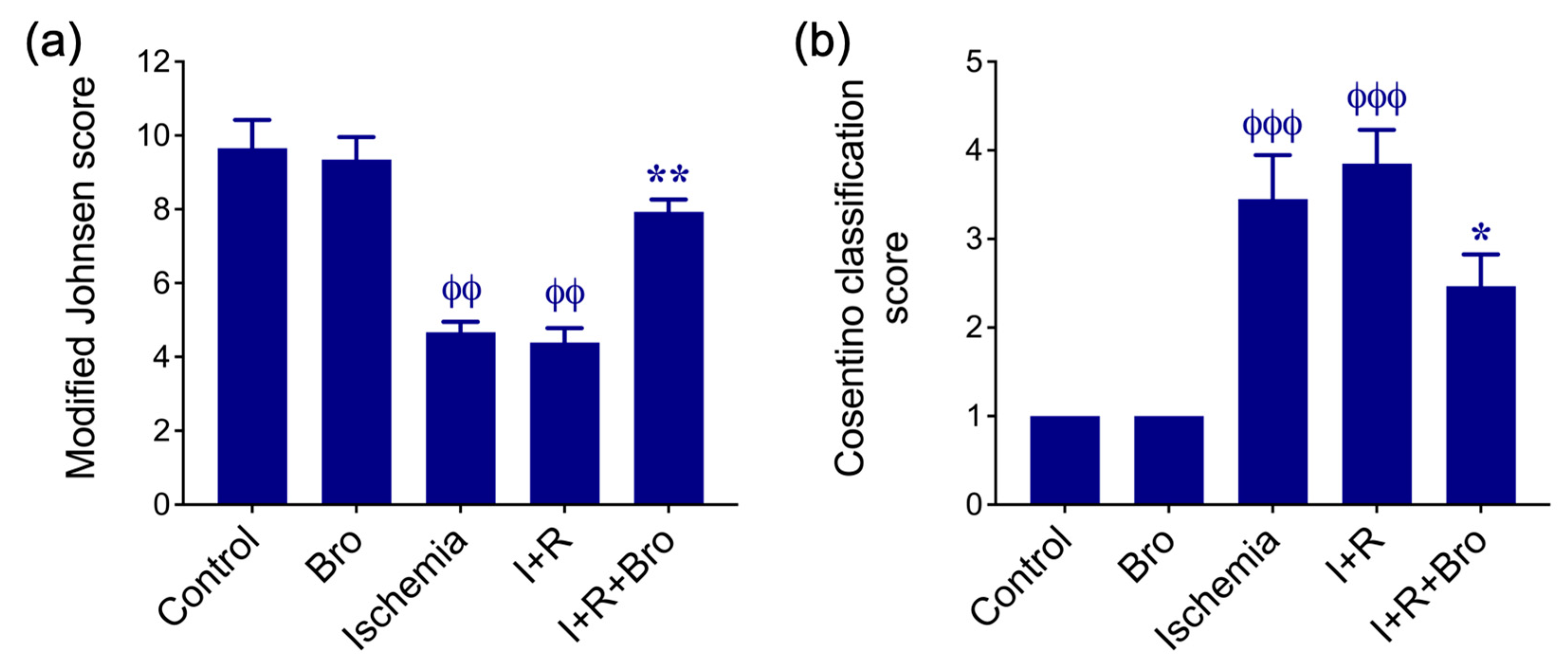 Biomolecules 15 00292 g007