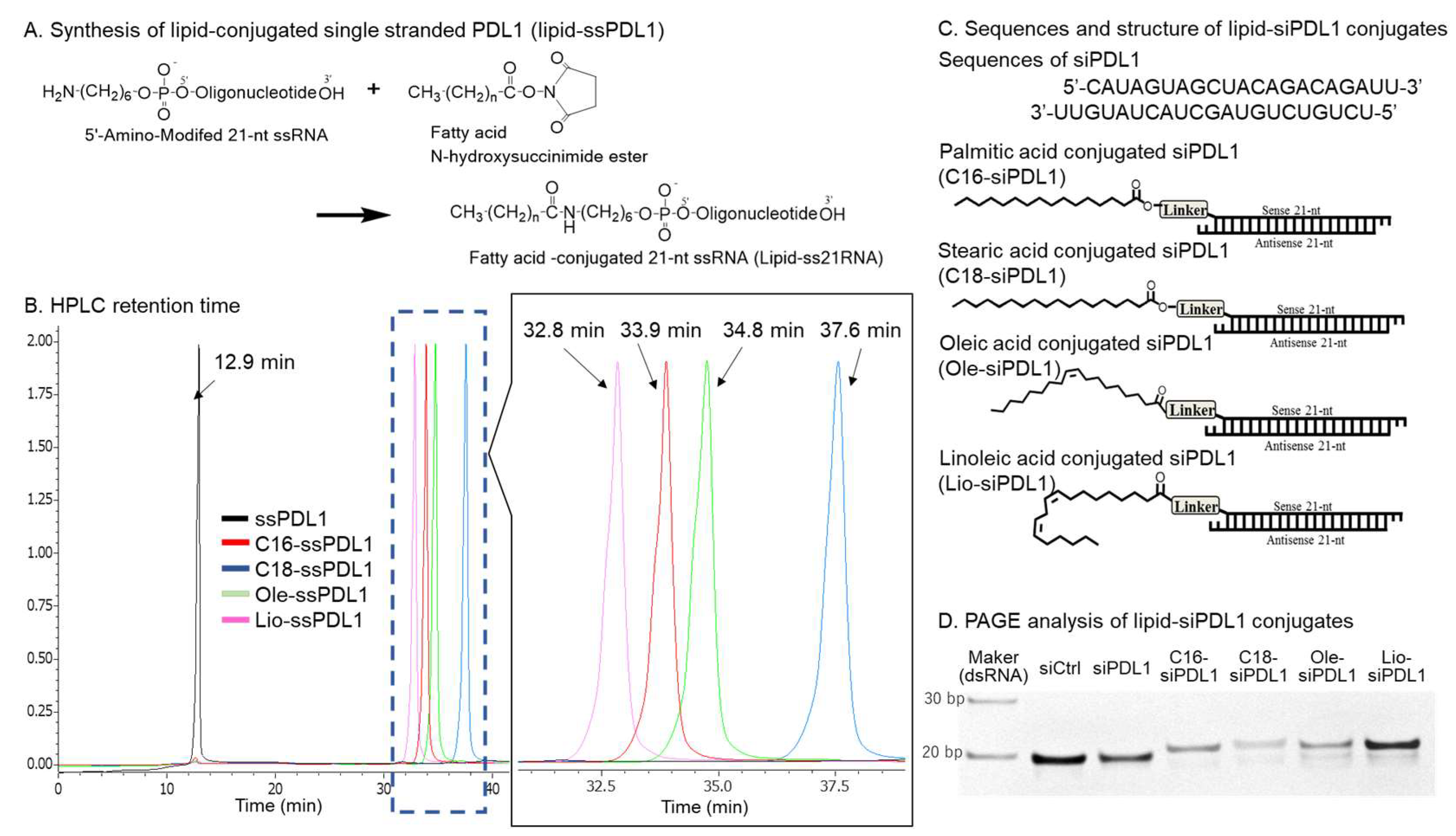 Biomolecules 15 00293 g001